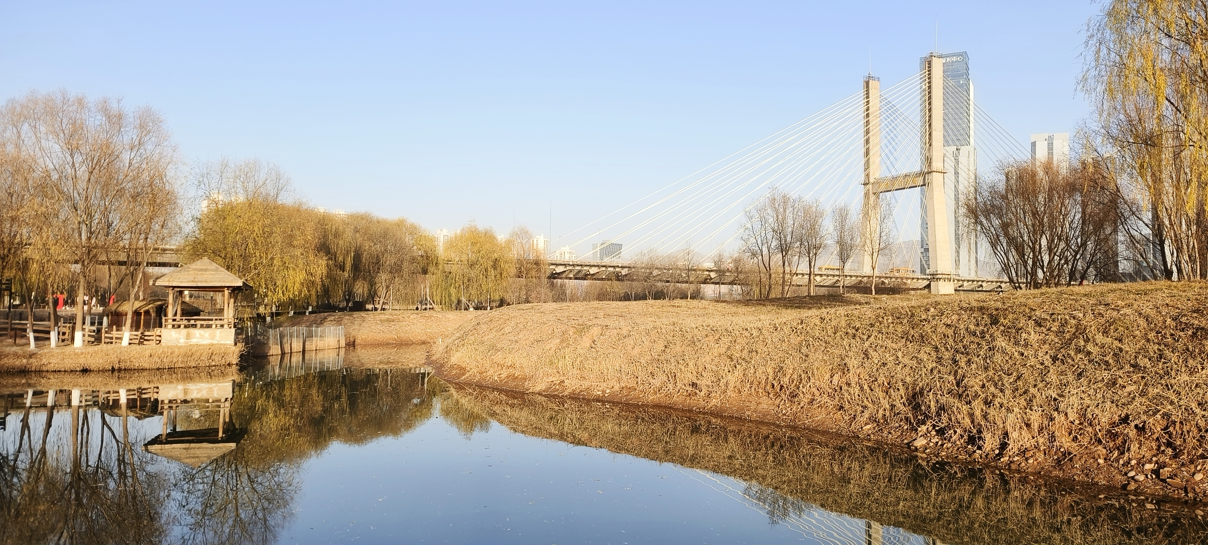 冬日暖阳~兰州银滩湿地公园#随手拍的冬季封神照片