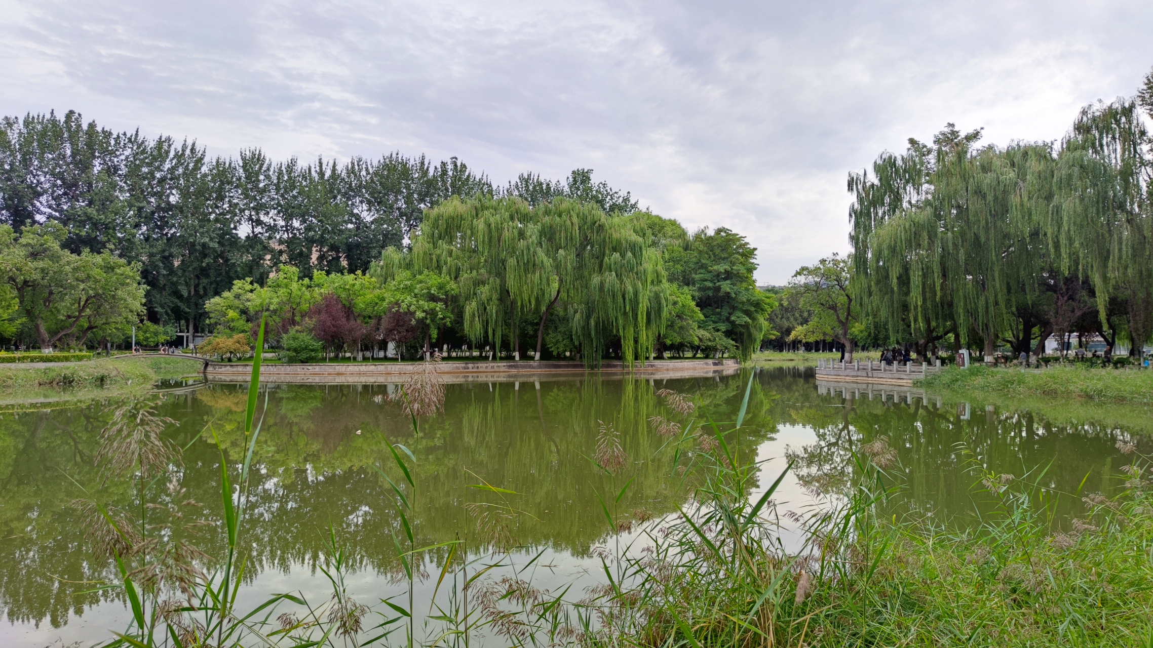 兰州植物园地处甘肃省兰州市安宁区枣林路,始建于1993年.