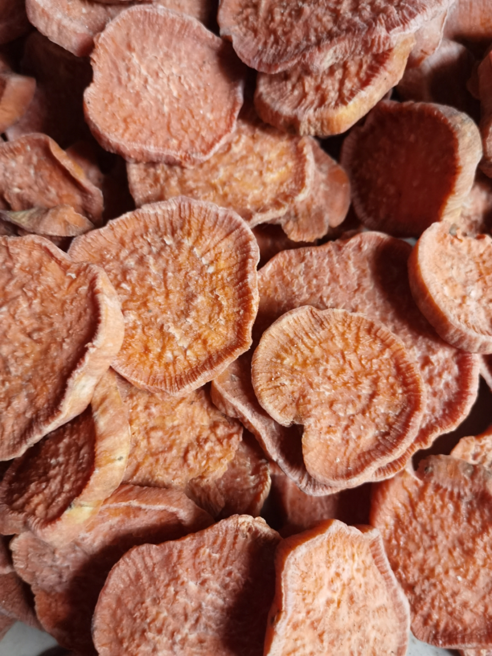 福清特产地瓜片