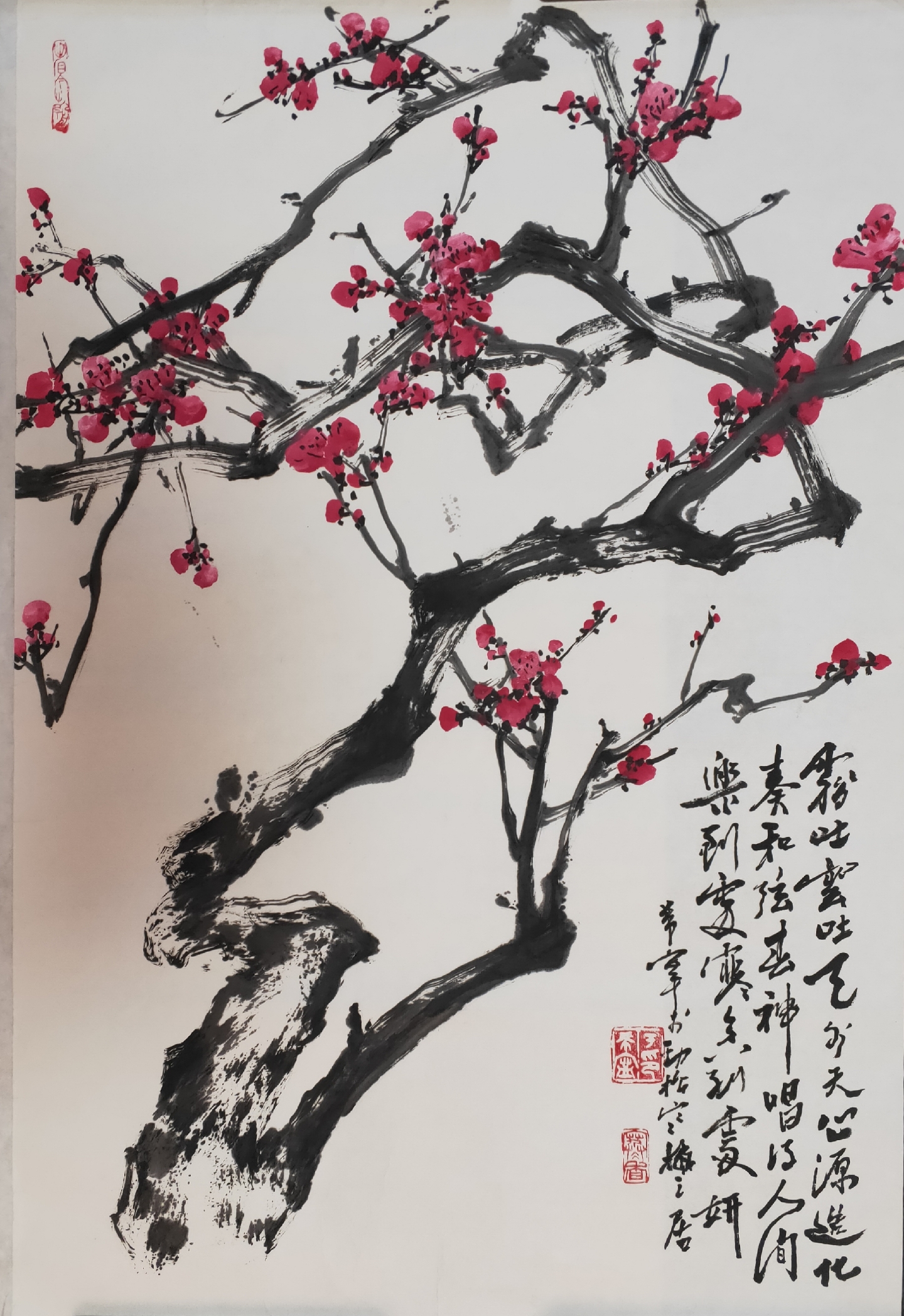 于希宁梅花作品图片图片