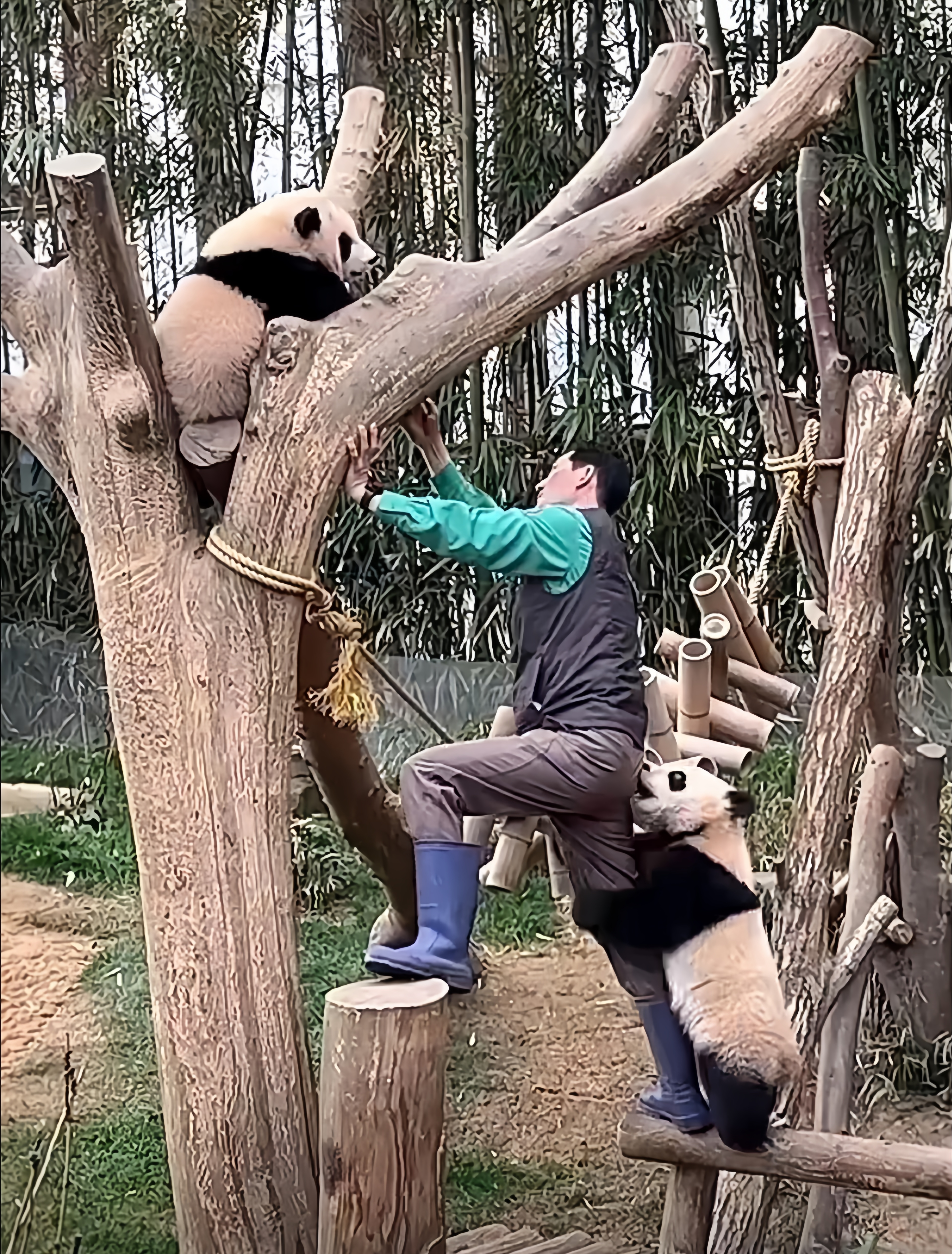 跑过去抱住的图片图片