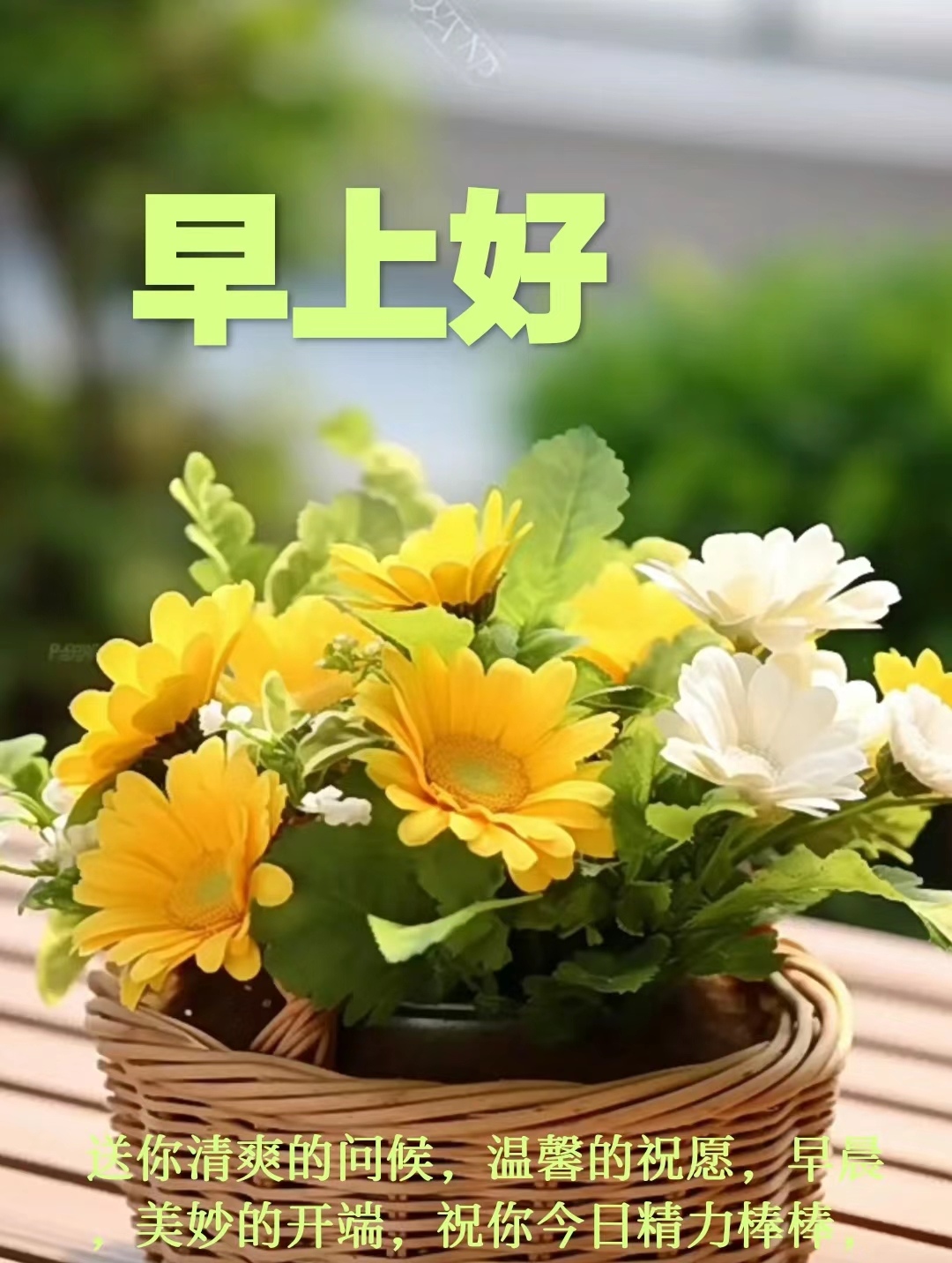 清晨菊花绽放篮中,木质桌上绿意朦胧,诗意氛围萦绕.