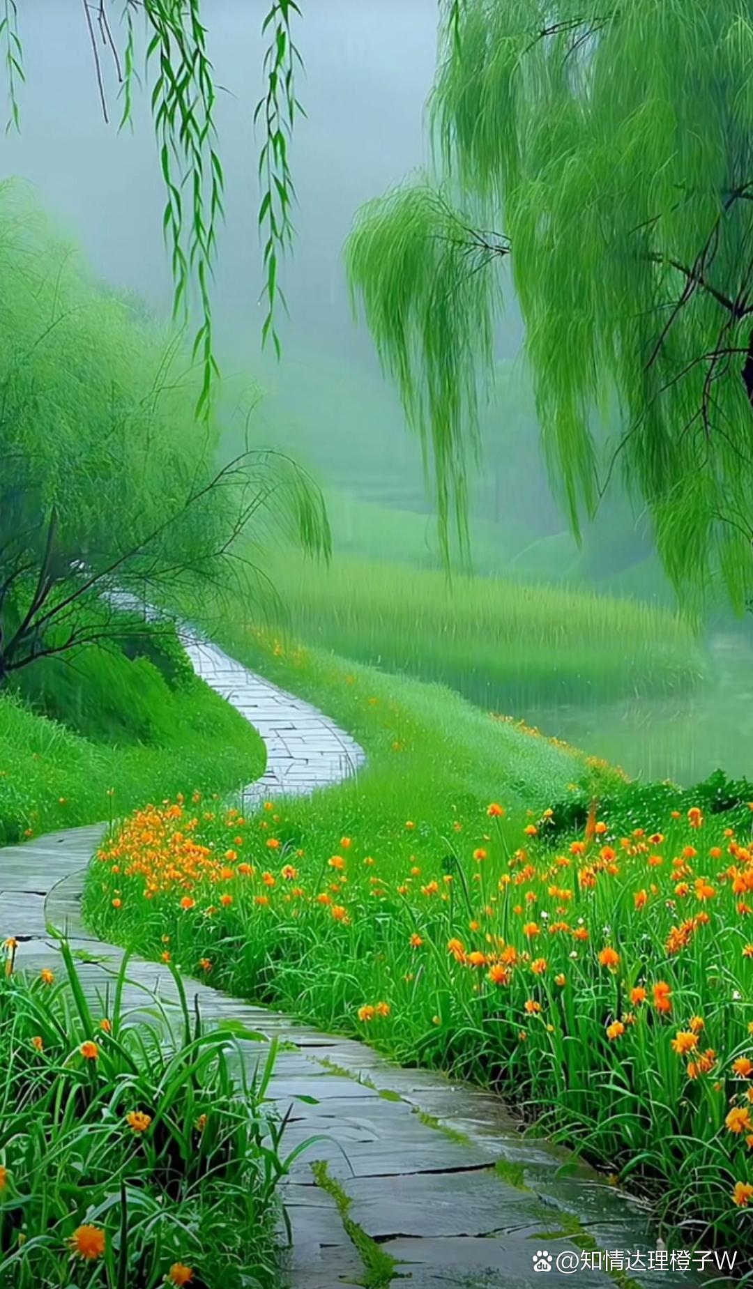 薄雾轻绕,垂柳依依,仿佛诉说着大自然的诗篇.