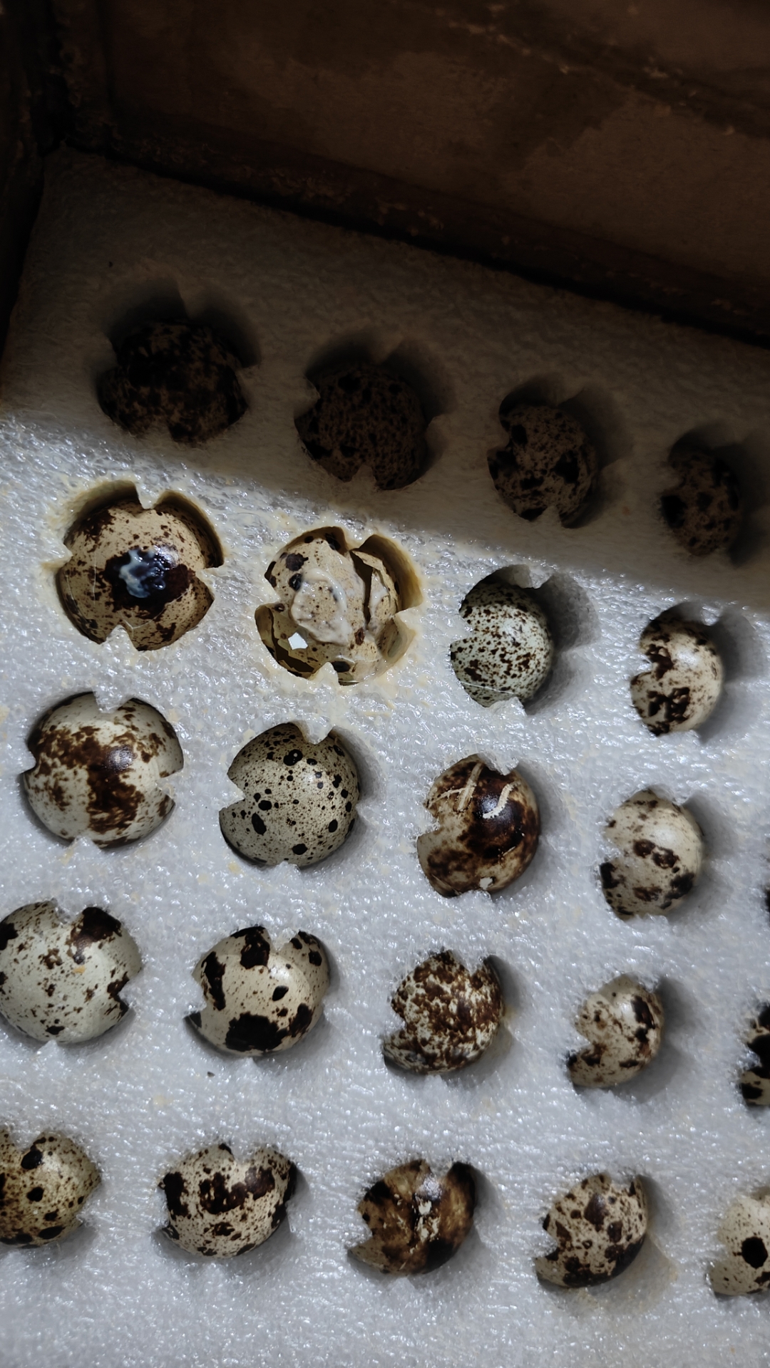 像我这种没什么要求的穷人,拼夕夕却是我的首选