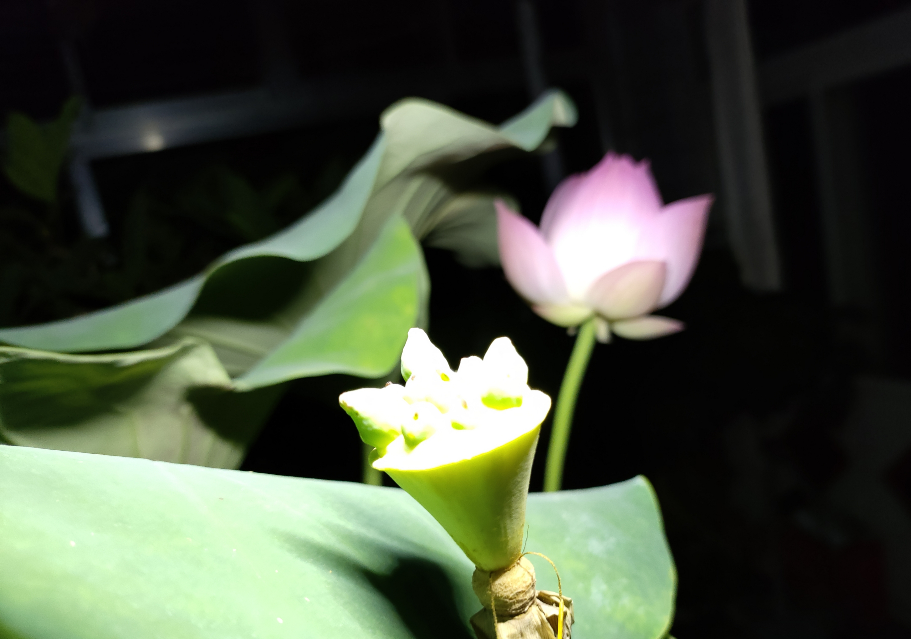 诗词歌赋交流地# #头条# #对联# #文学# #海