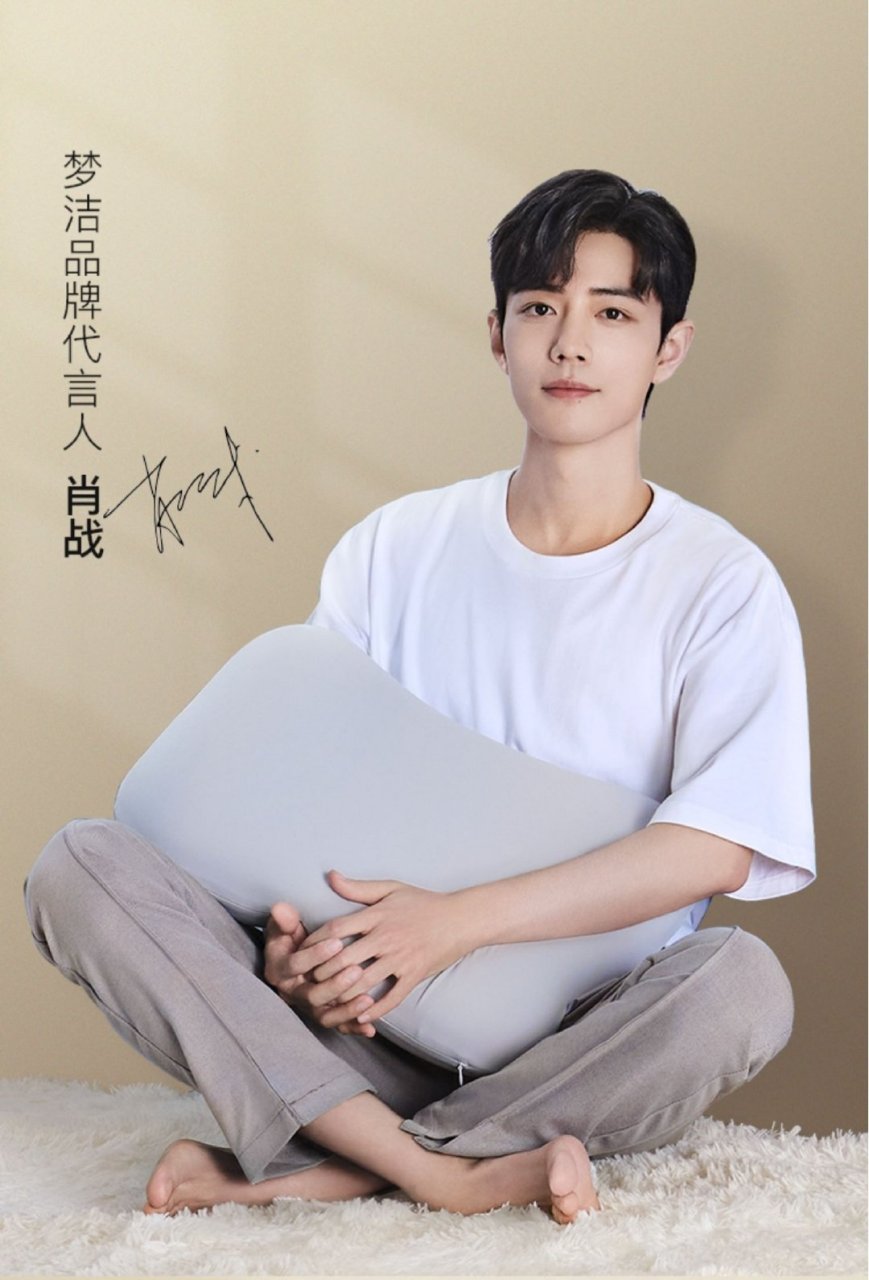 肖战顾魏#xz#肖战梦洁品牌代言人# 梦洁家纺,质量上乘,精益求精,丝丝