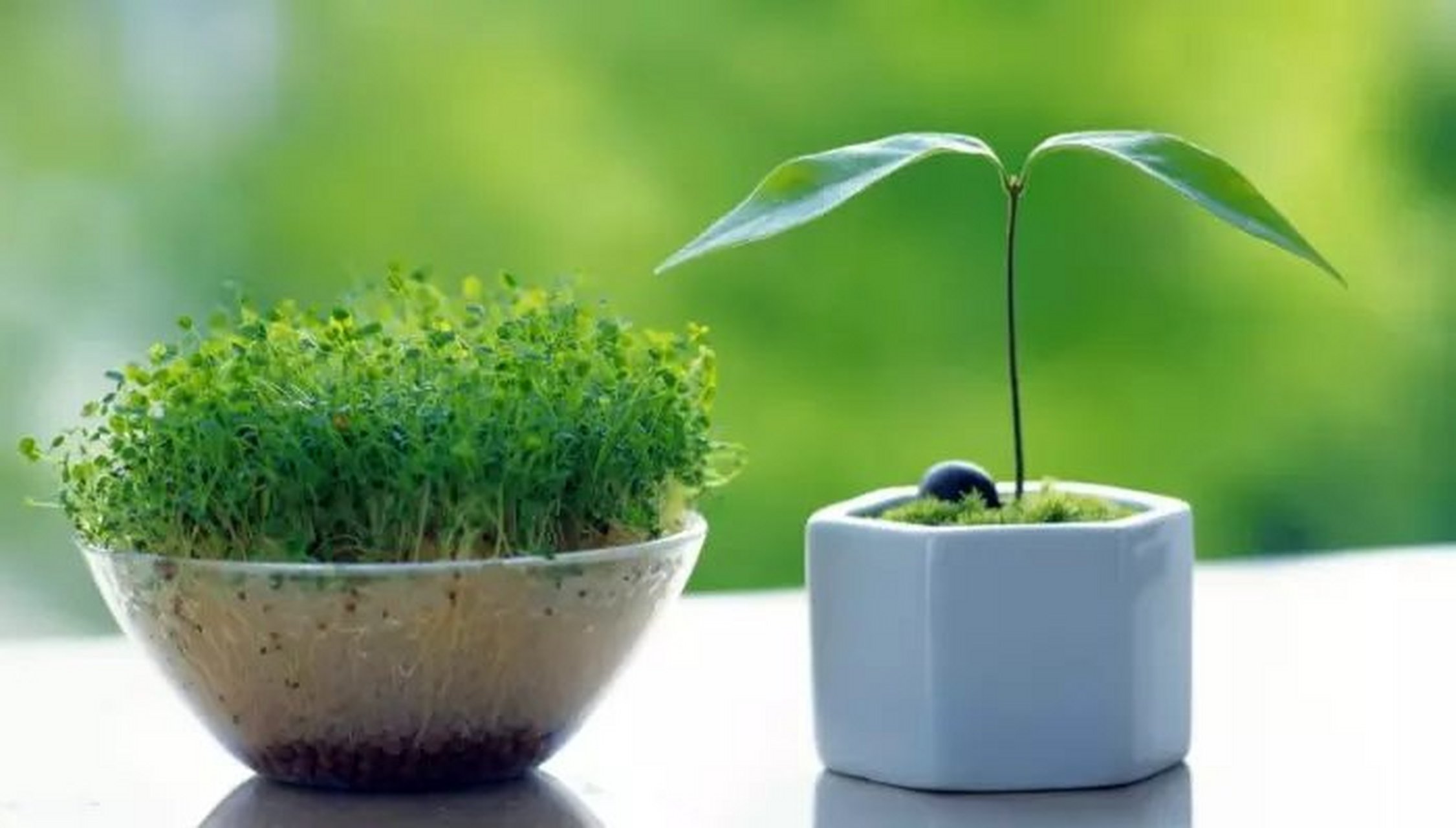 生肖鼠 生肖鼠的朋友之前有"贯索"这颗凶星来犯,因此一些人遭遇事业运