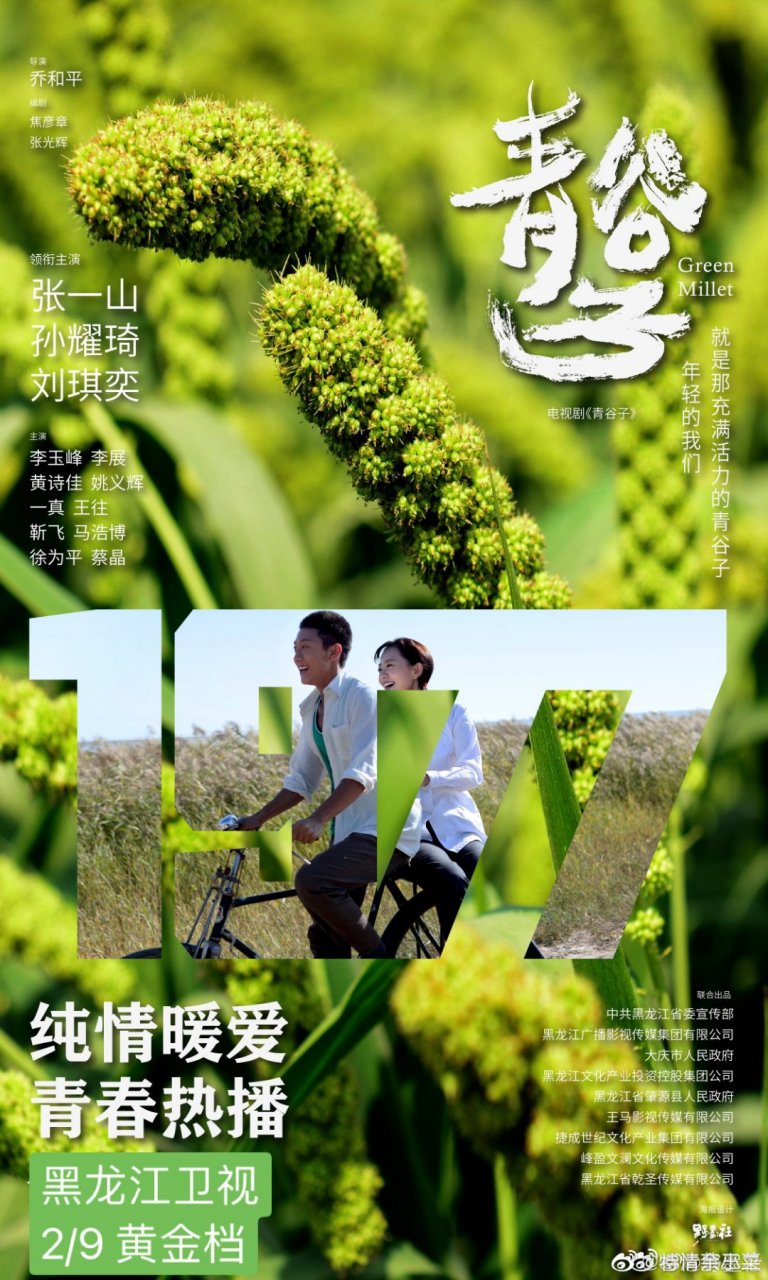 电视剧《青谷子》在黑龙江卫视19:30播出以来不觉已有12集了!
