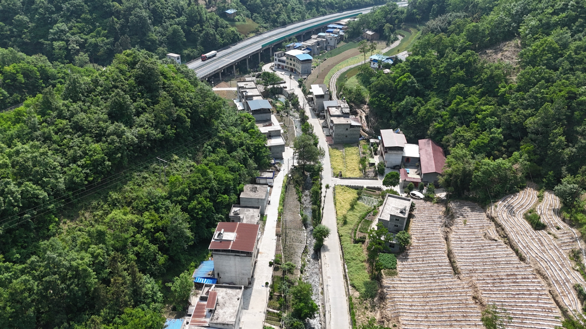 《我的第三条"腿"——拐杖》