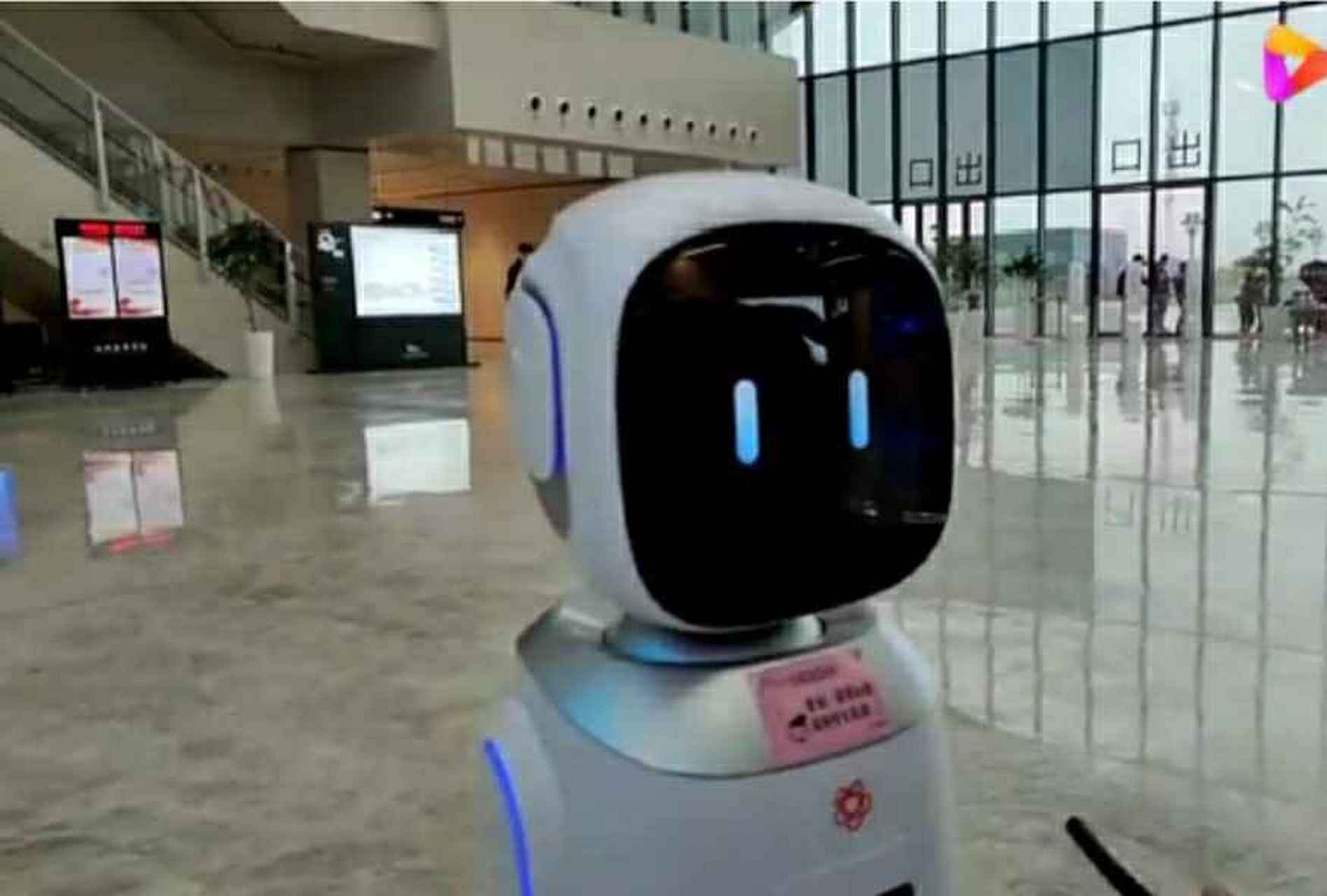 心疼图图和旺宝 相信很多朋友都看过某图书馆图图和旺宝,可今天我看了