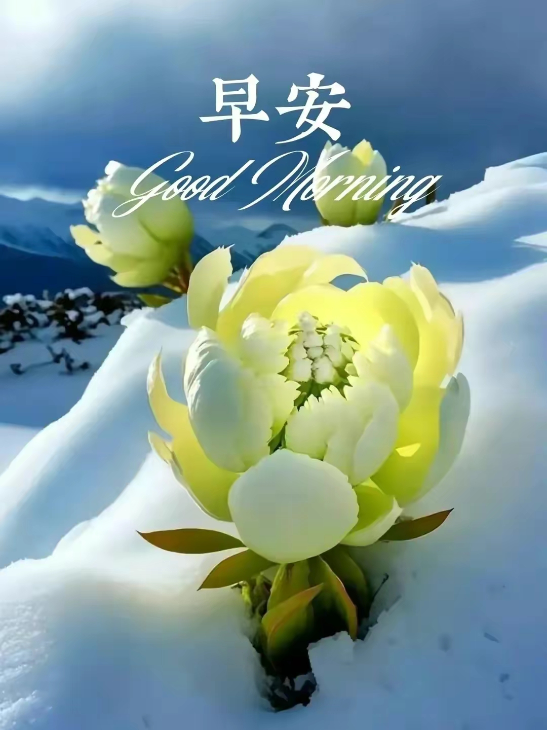 94早安,世界!