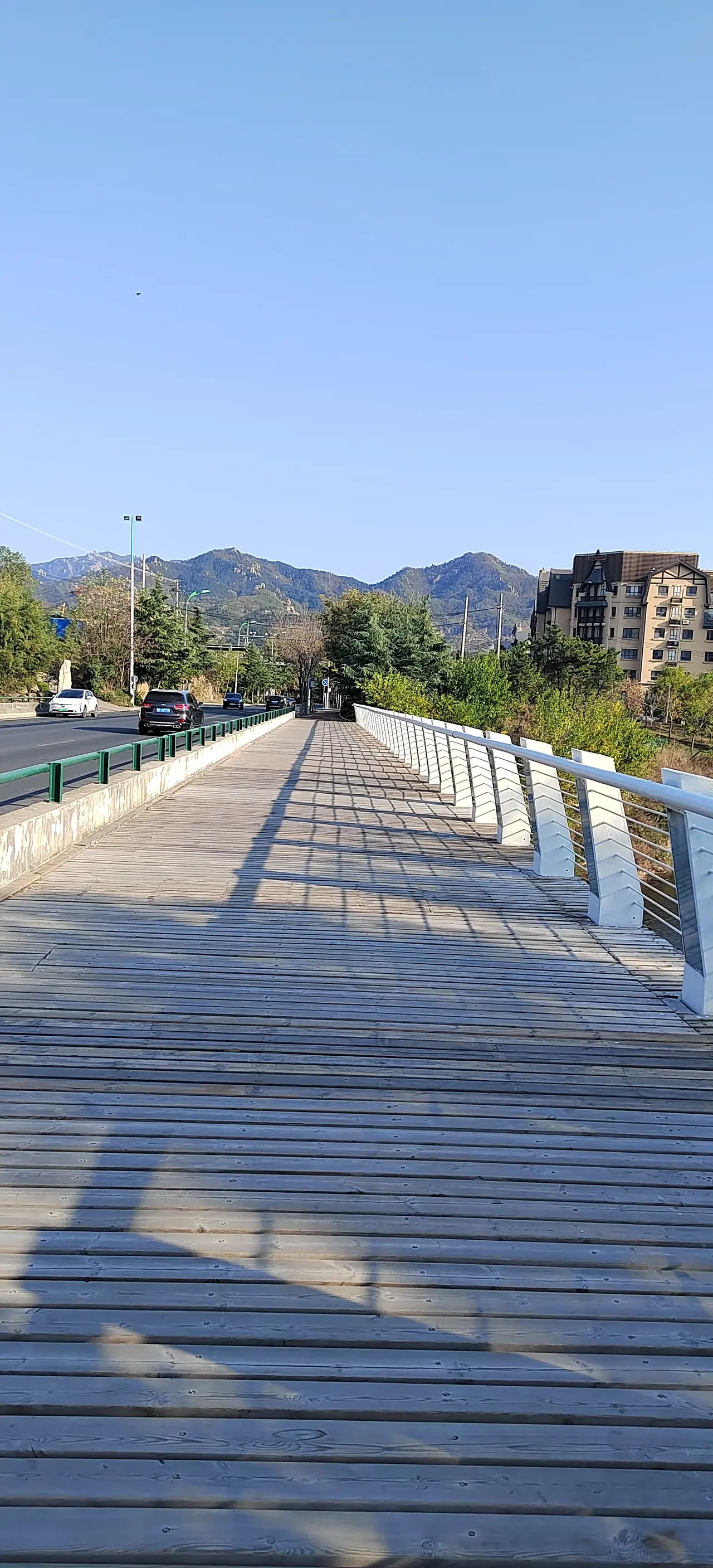 自从父母年岁大了,年年如此