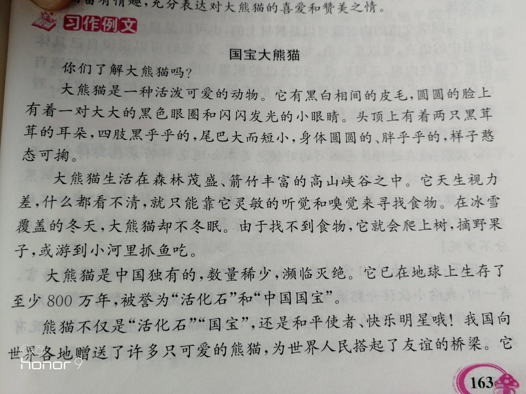 国宝大熊猫的作文