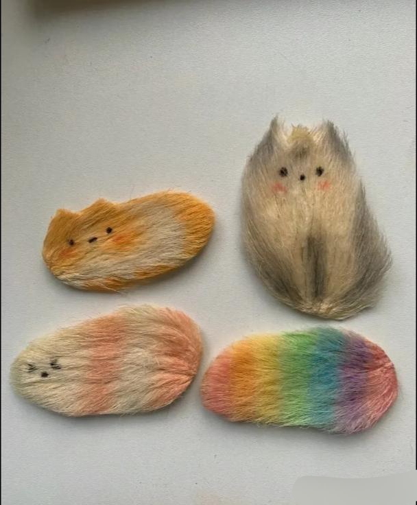 这居然是用吃完的芒果核做出来的手工艺品,简直是太有才了,大脑突发