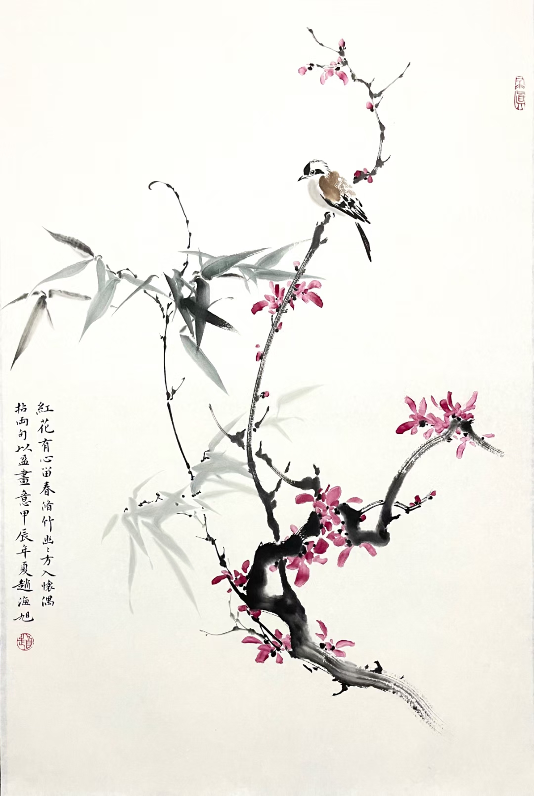 赵海旭  竹红46×69cm 带视频合影,支持定制