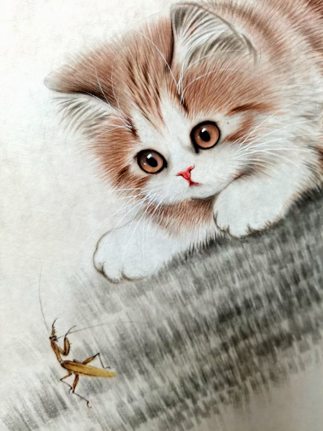 秦文轩画家笔下的猫,粗矿中透着精细,典雅不失厚重,构图饱满,线条明快