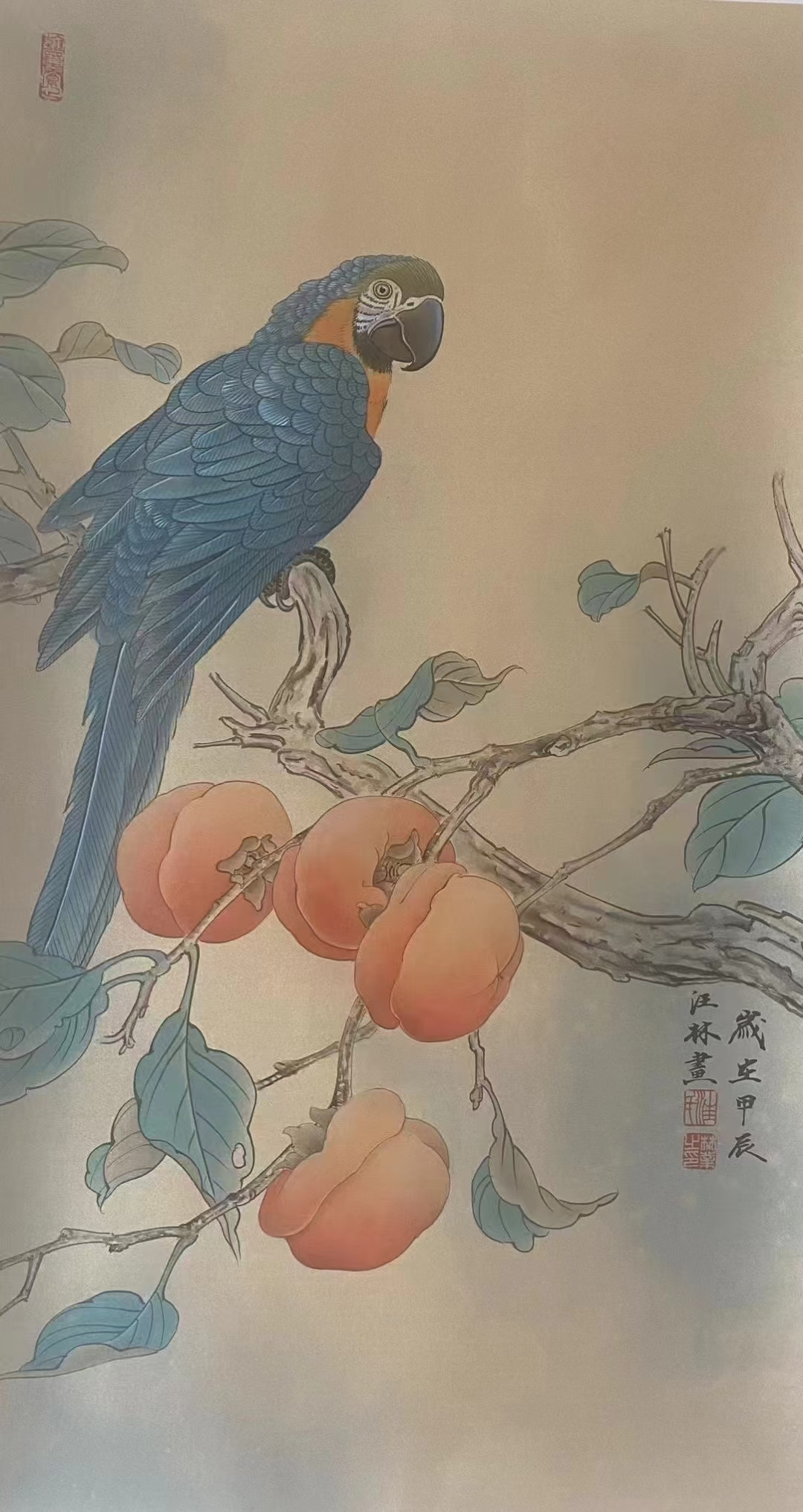 汪林老师  工笔鹦鹉  68*38cm 支持定制