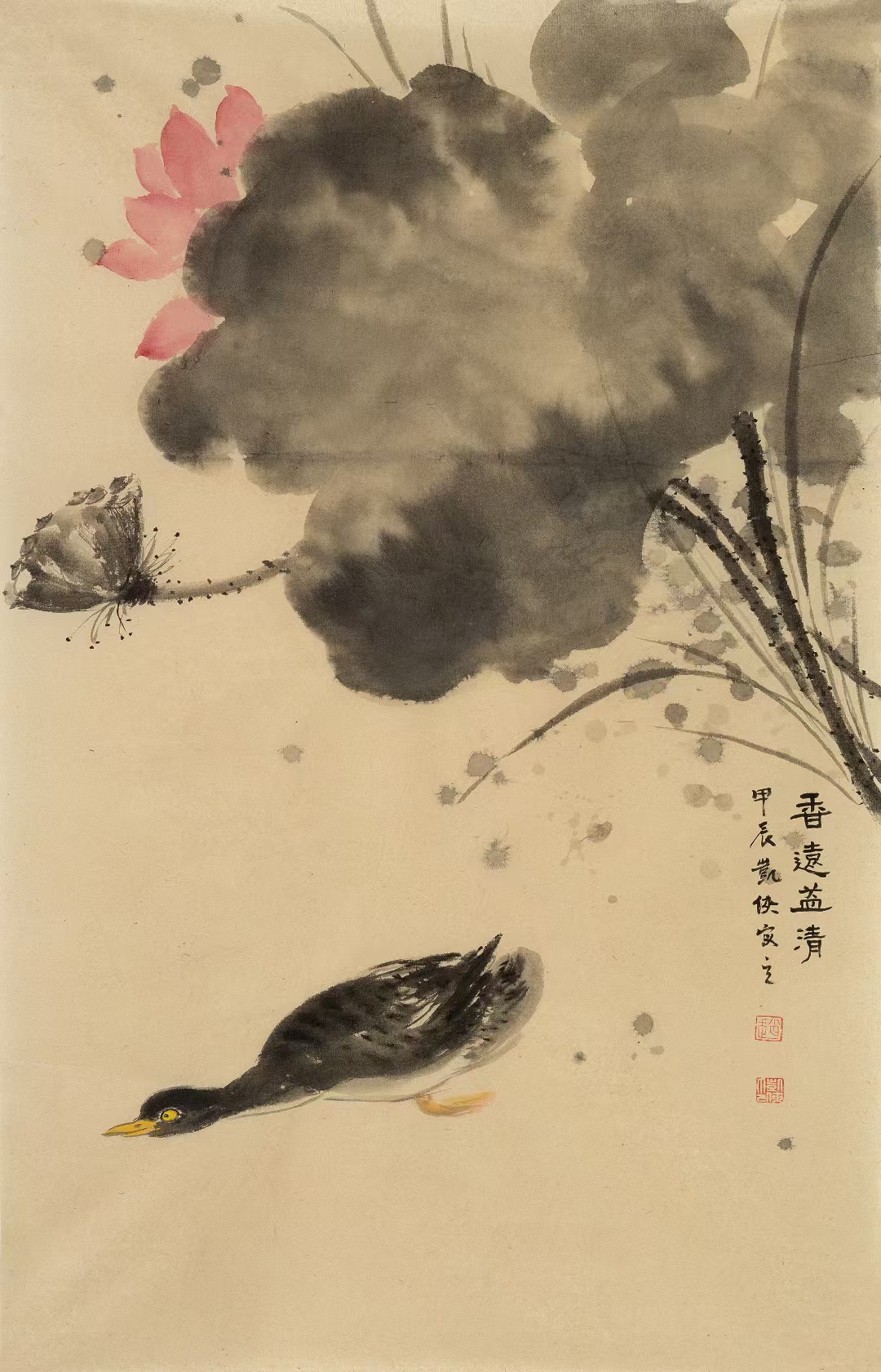 赵凯侠新作  红掌拨清波系列 带视频合影,支持定制