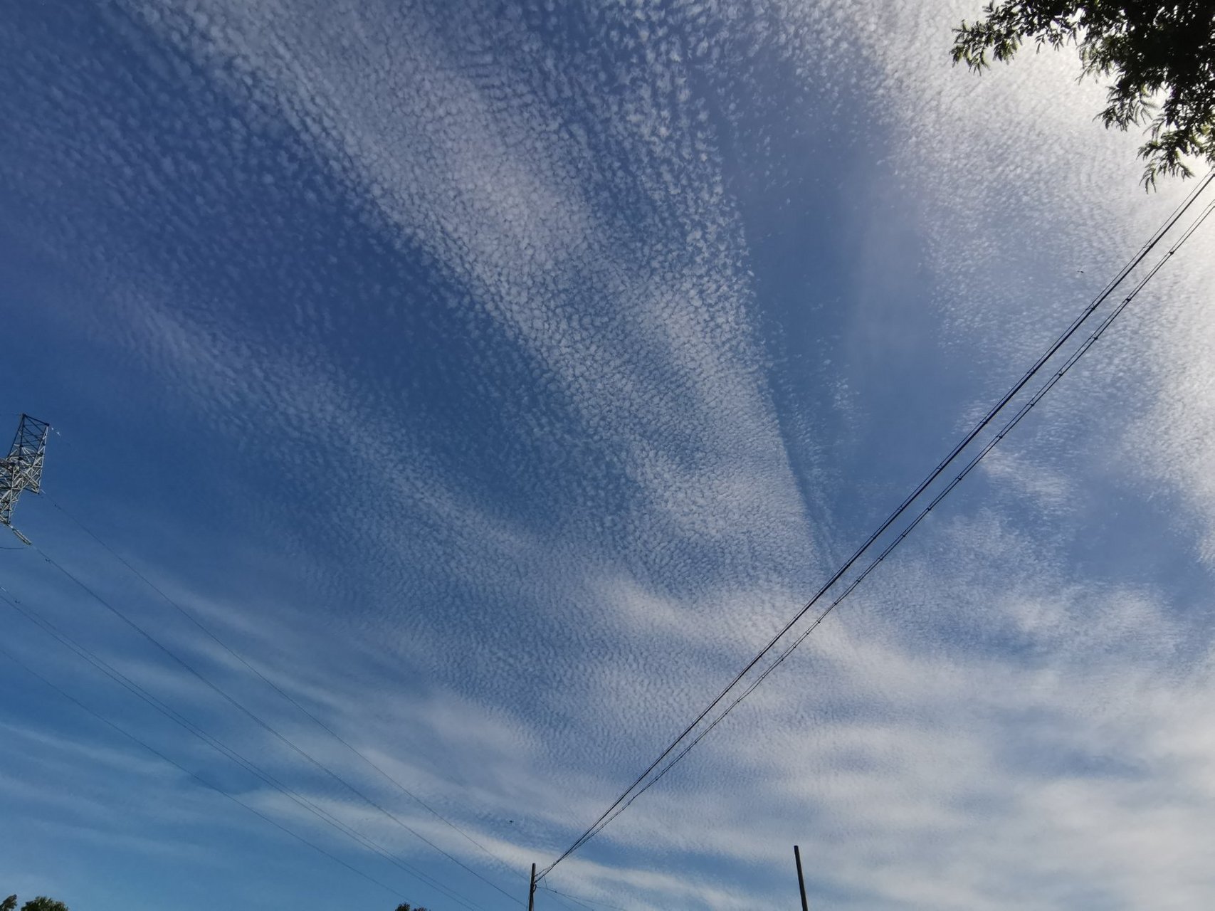 2020/08/02 浙江桐乡 "龙鳞云"景观!