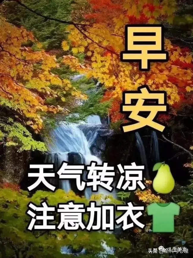 秋凉添衣的祝福图片图片