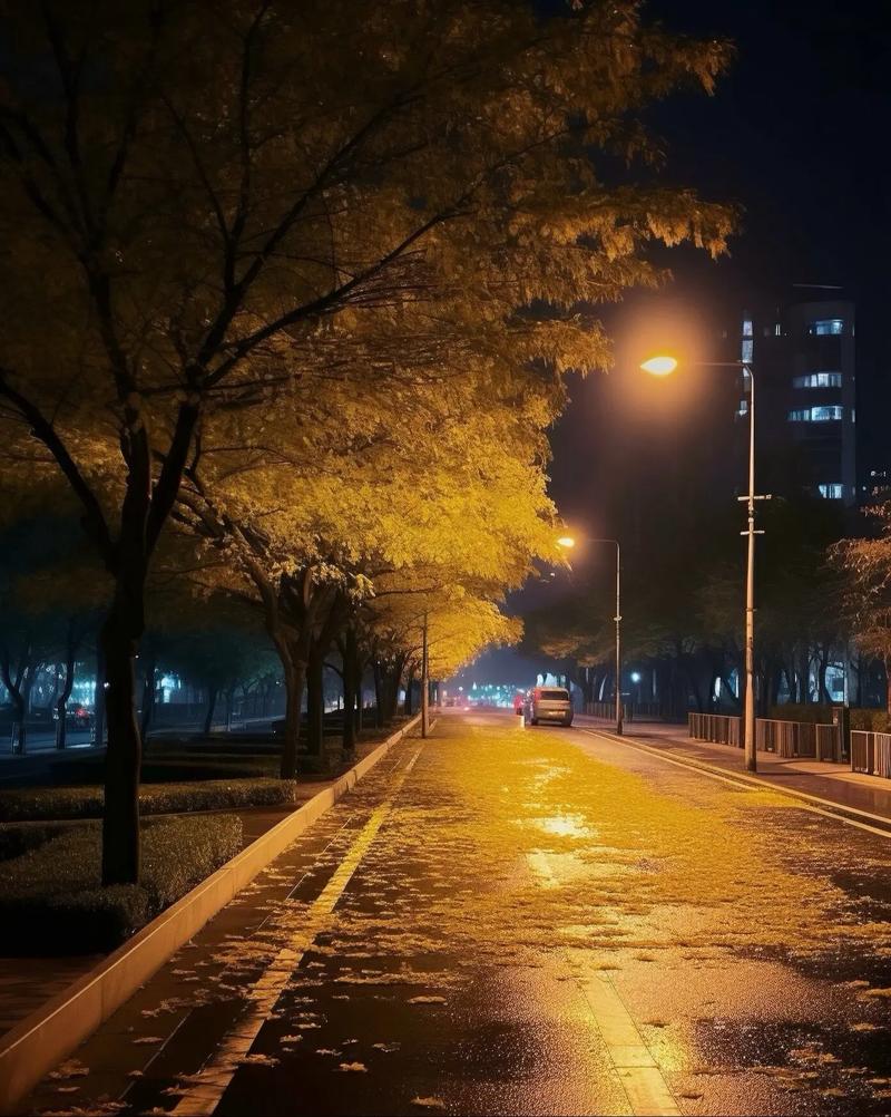 金黄树叶挂满枝头,也散落湿润路面