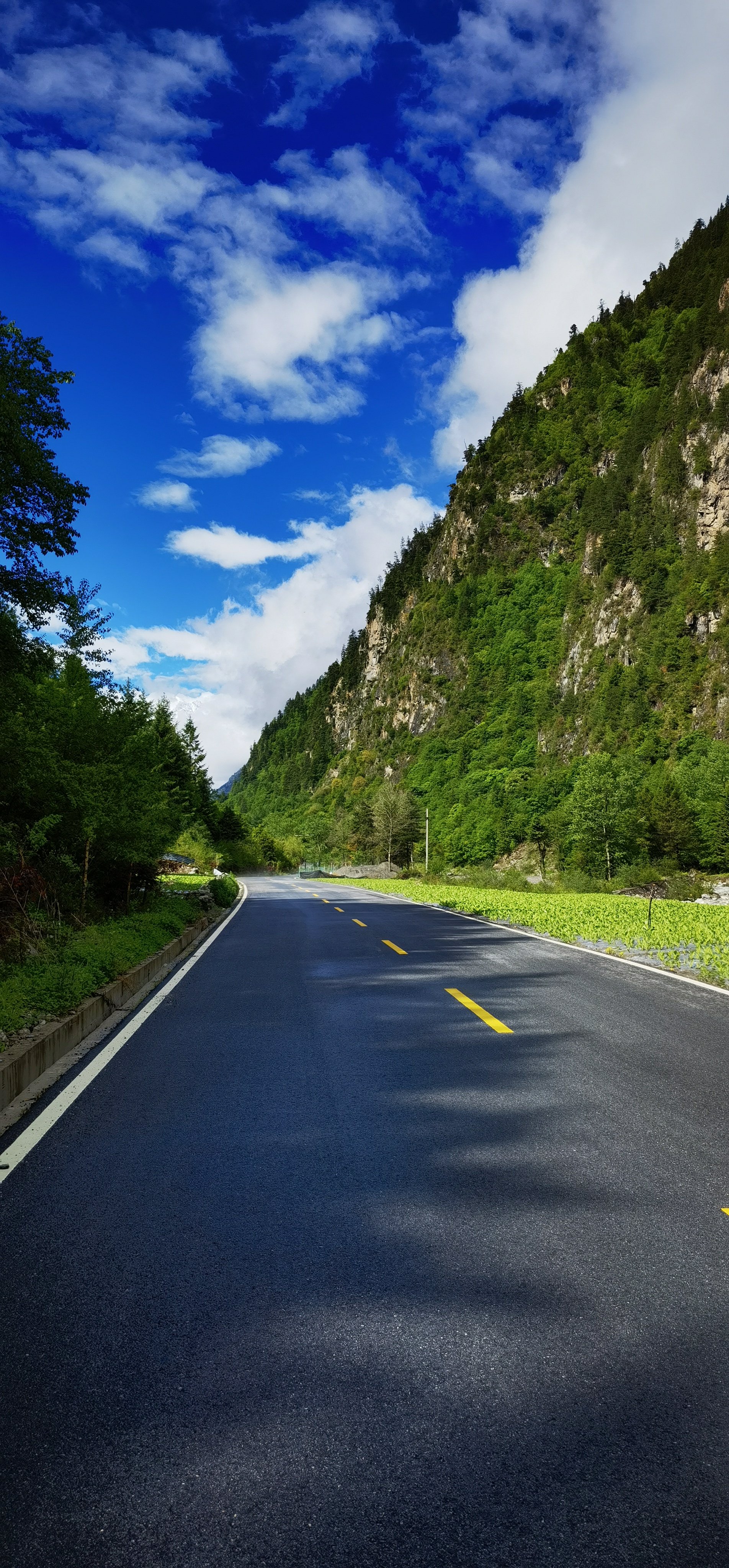 踏上这方天地,一条公路蜿蜒向远方