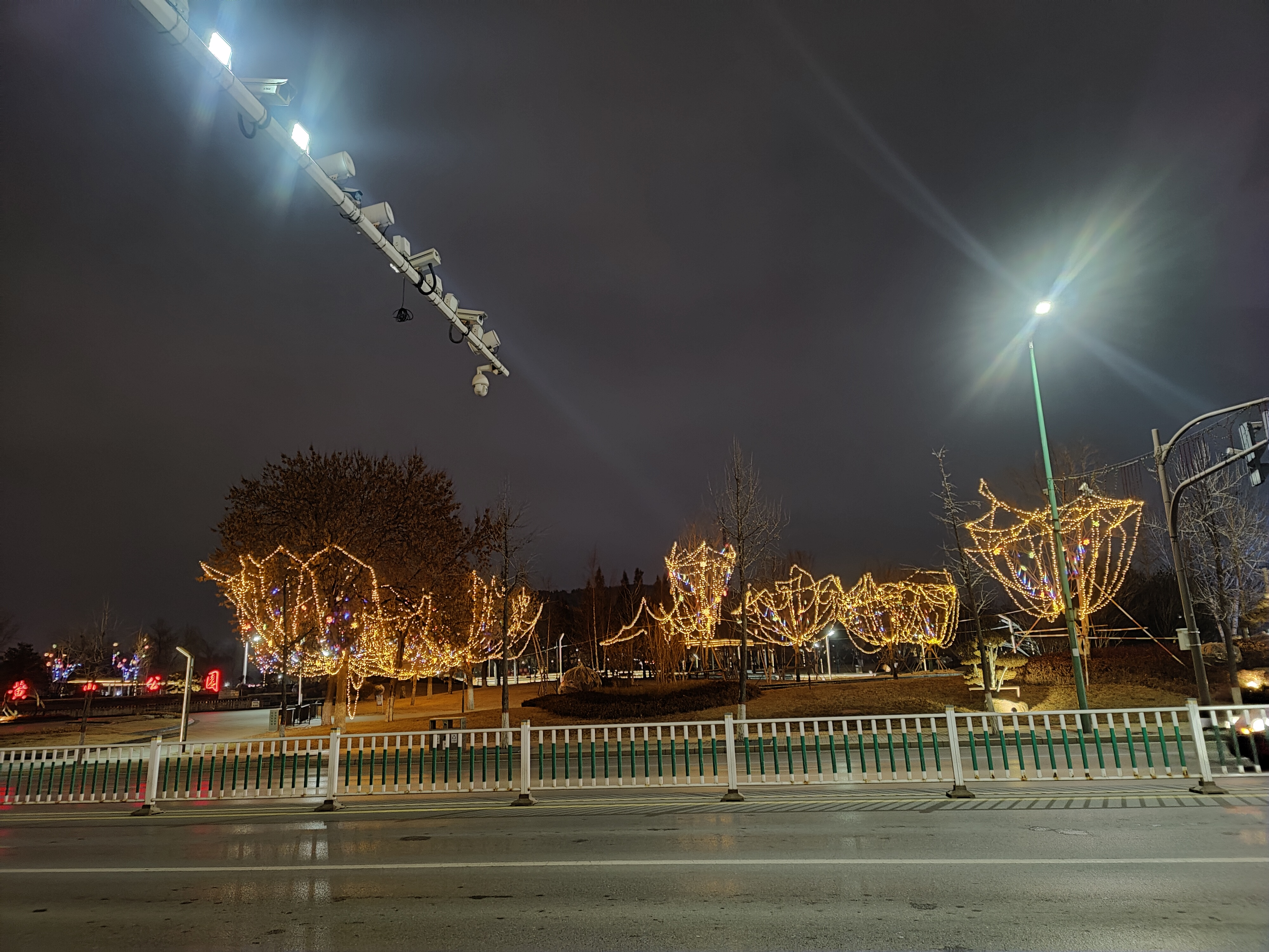 夜晚的城市街道,路灯下的景色仿佛被打上了滤镜,一切都变得神秘而浪漫