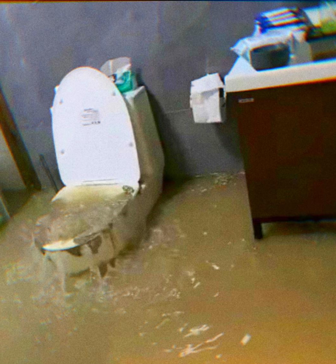 不取别人建议图便宜的后果,以前是下水道特别臭,今天更狠直接水淹了