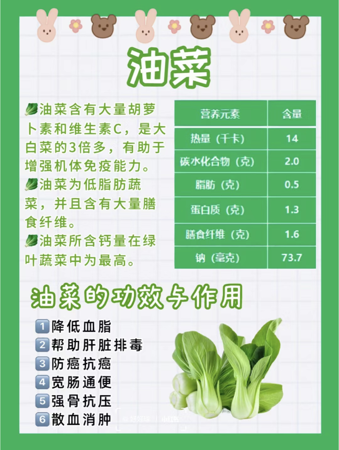 油菜的功效图片