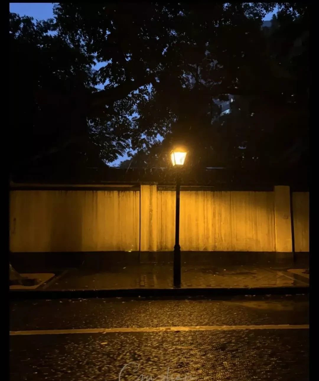 55岁了,按理说天命之年,啥事都能看得明明白白的