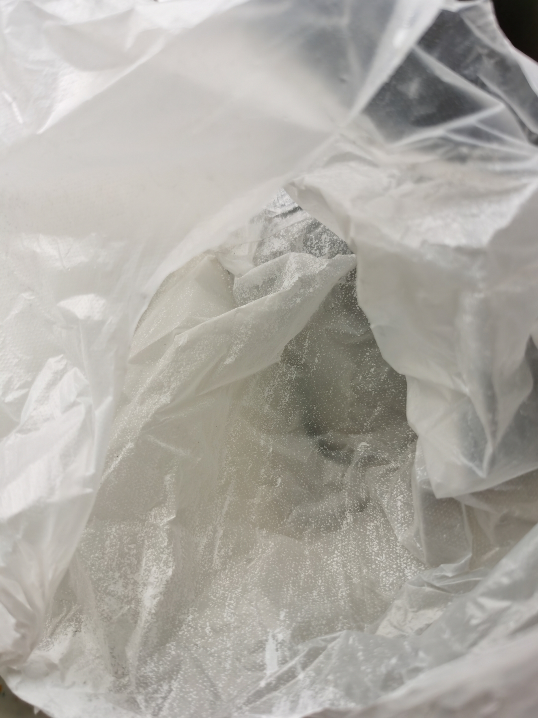 不知道有毒否?请专业人员帮忙答疑,评论区留言,谢谢