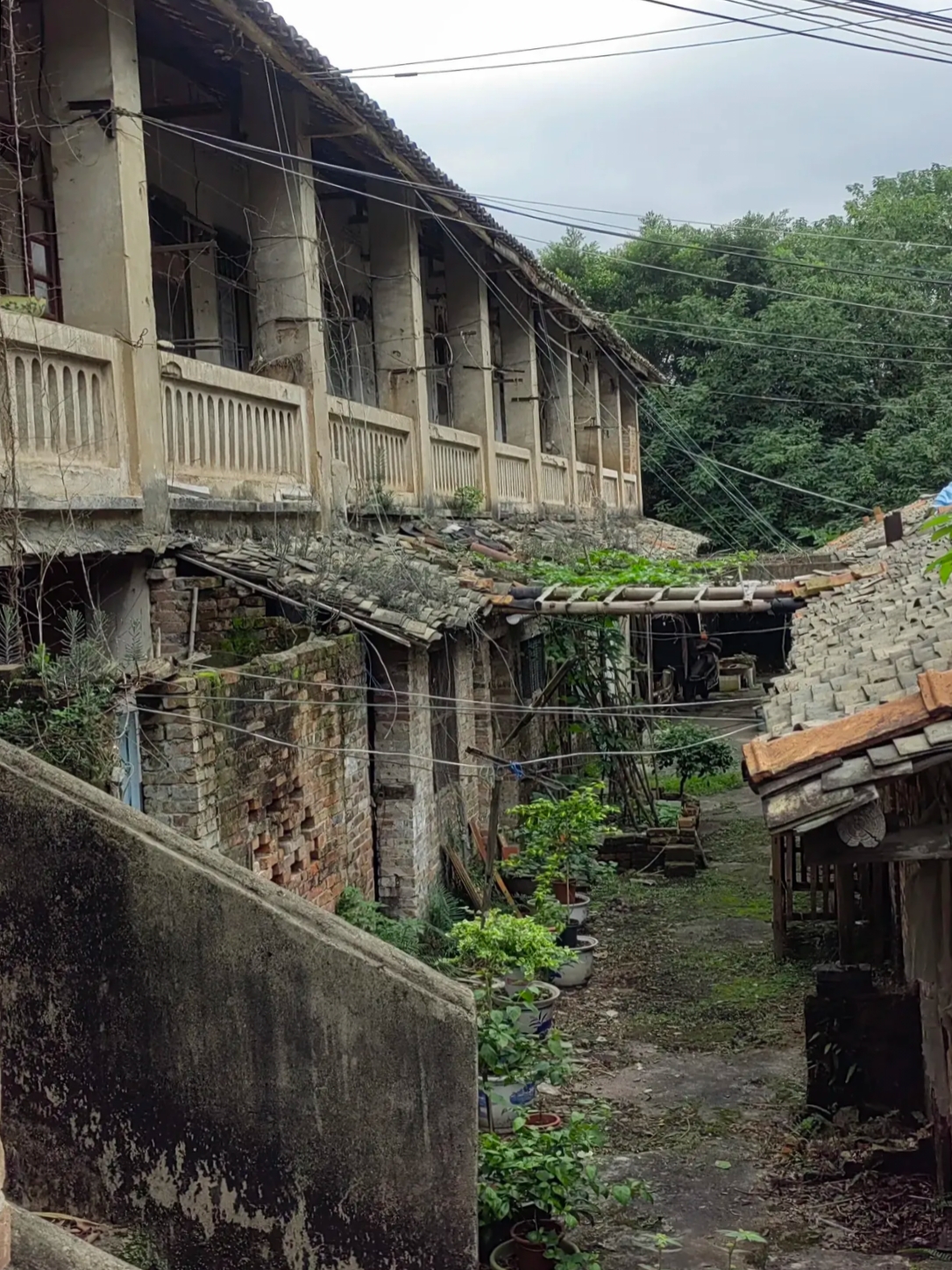 于这座荒废企业的宿舍楼里,斑驳的墙面 路鹪谖奚咚底派畹募栊 
