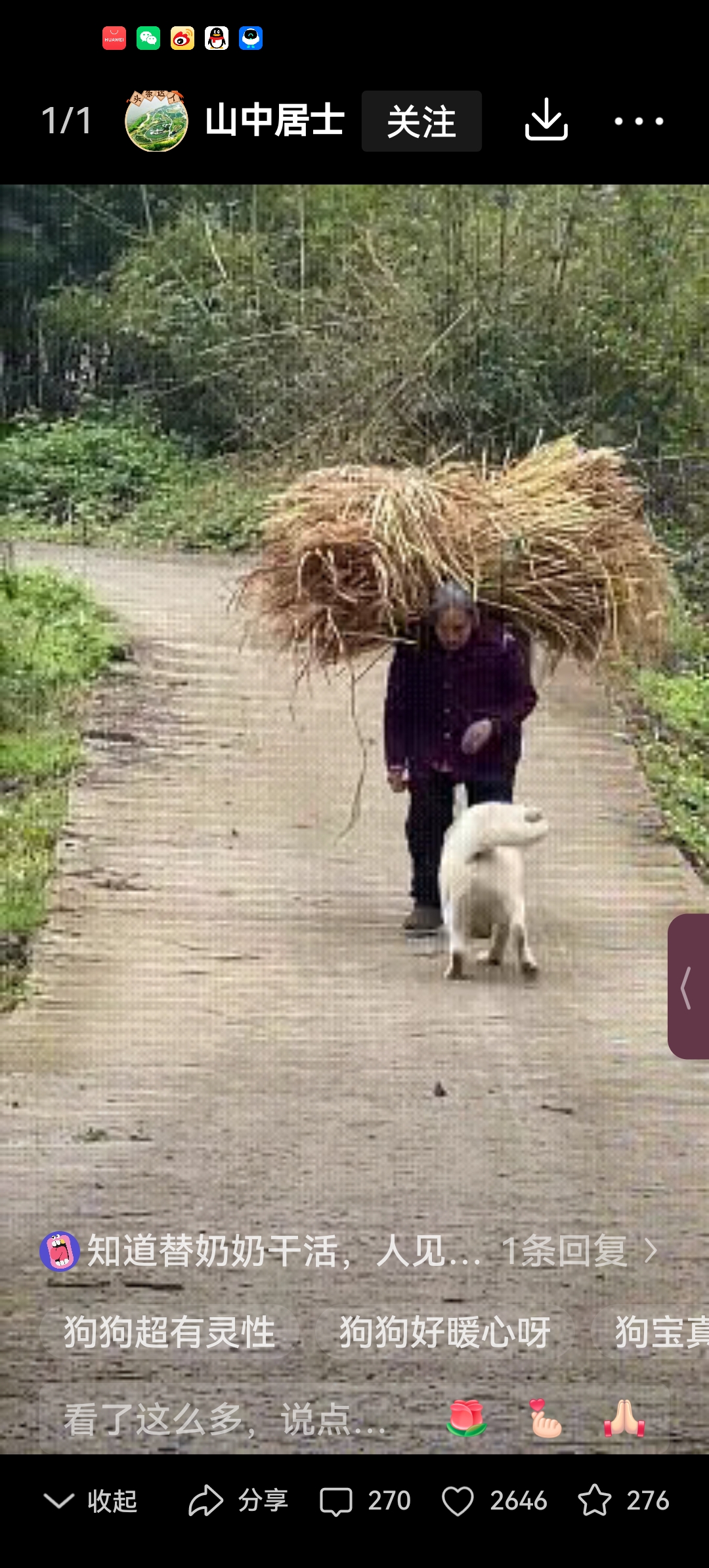 在蜿蜒的山路上,一位奶奶正步履蹒跚地背着沉重的柴禾缓缓而下,每一步