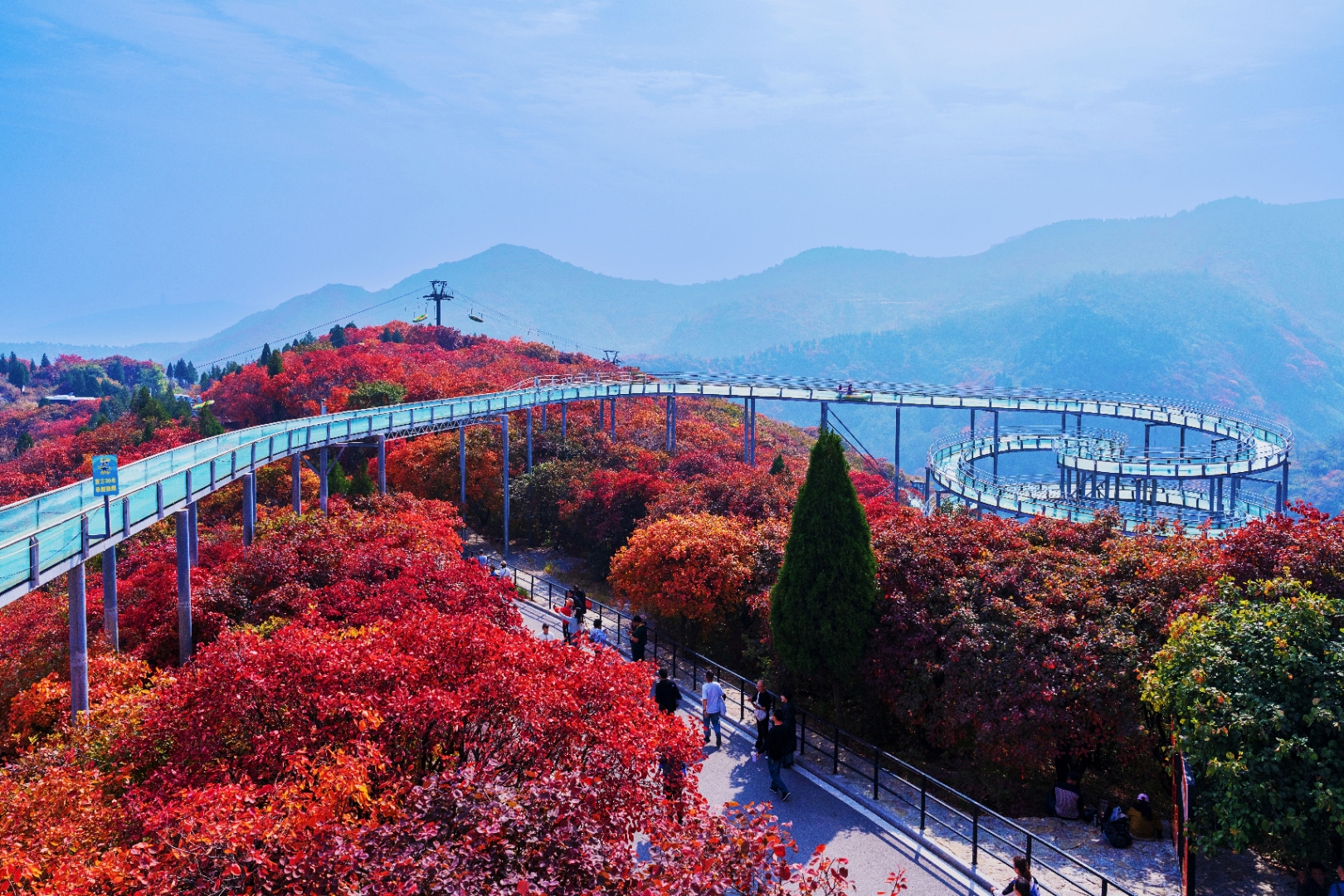 博山红叶柿岩古村有"山东小丽江"之称,白天繁花似锦,夜晚灯光云雾缭绕