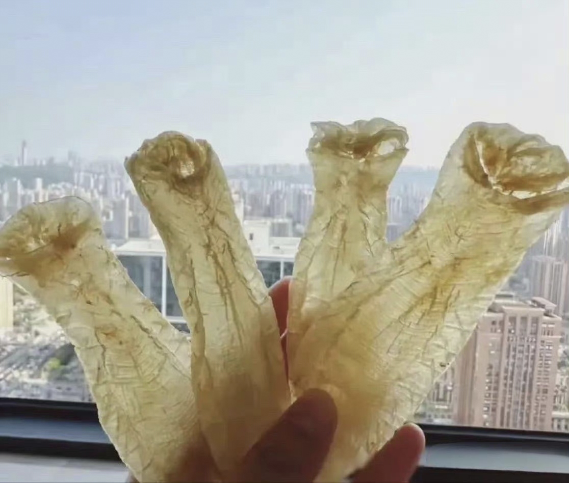 100年前的欧洲贵族就靠这个避孕的,据说是把5个月