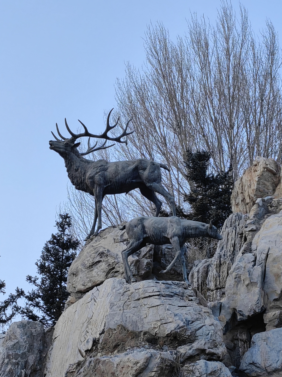 早就听说,包头九原区沙河西街,九原万达广场旁边有一个"鹿园",但走进