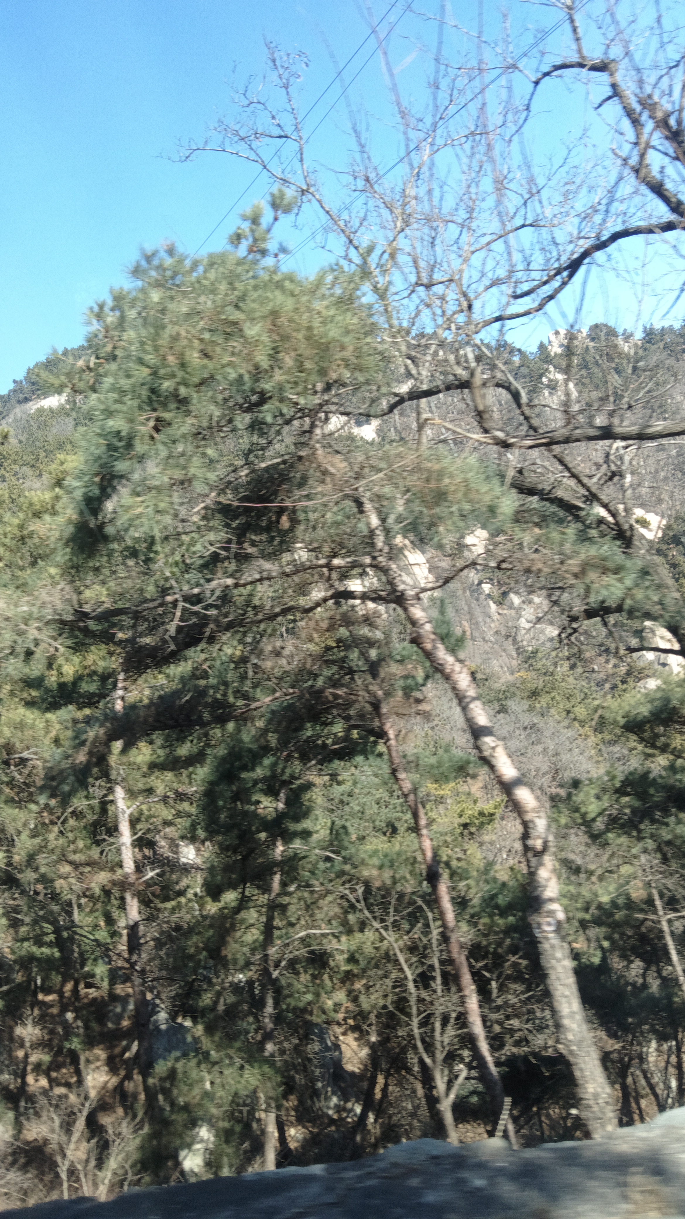 我没有事先告诉他们,悄悄带大闺女去了火车站,我们做火车来到了平邑