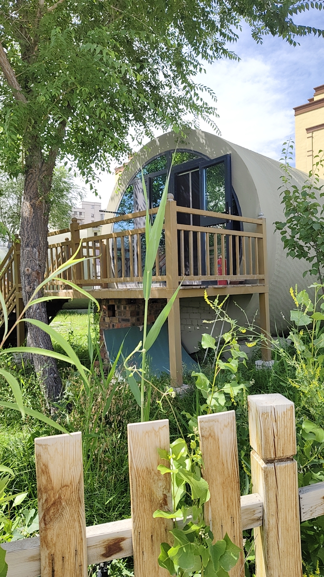 努力与坚持就是最好的修行!