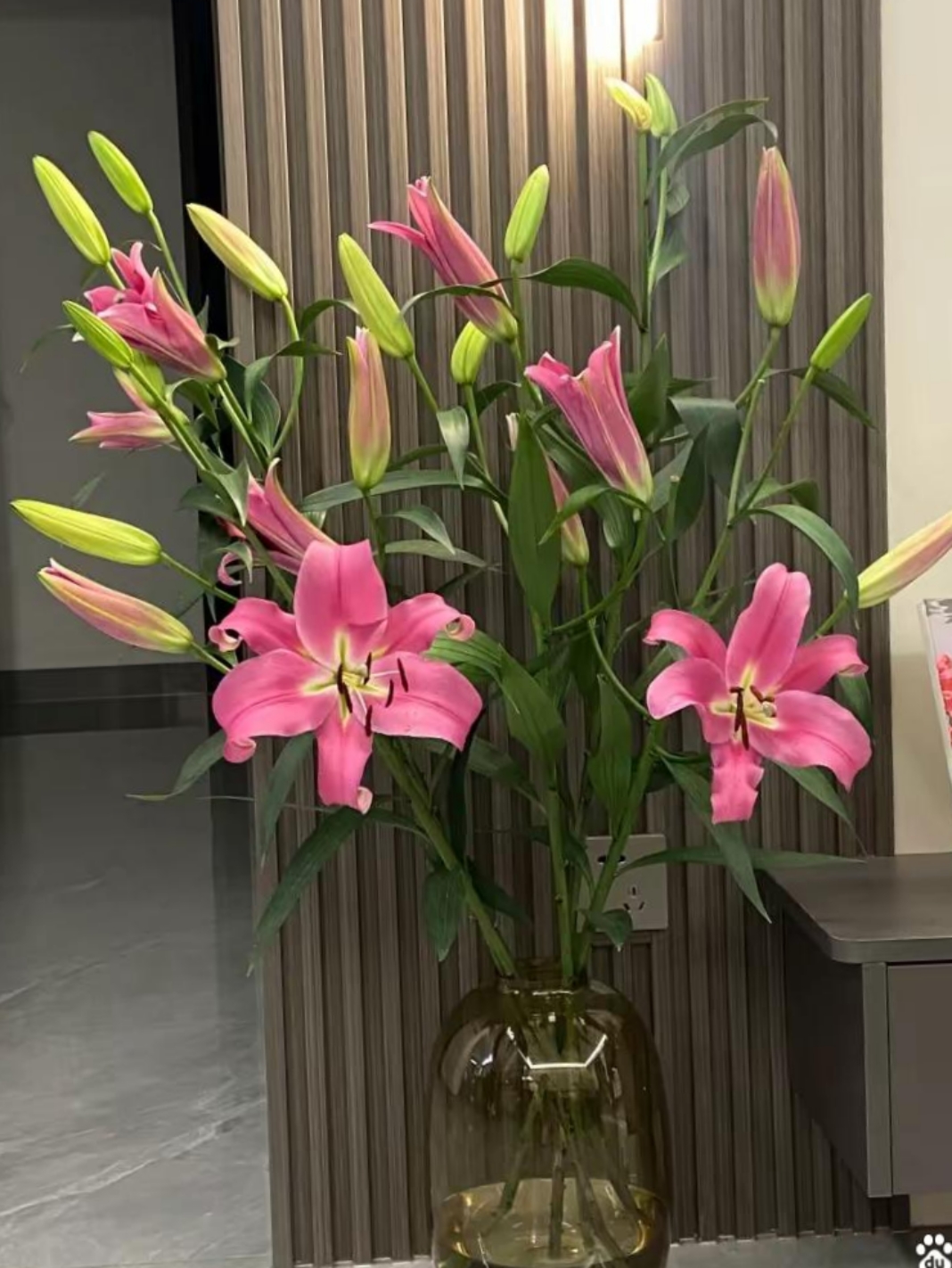 哈哈,这百合花一摆家里,立马就温馨得不得了!咋就这么神奇呢?