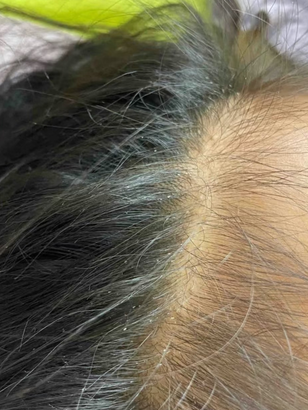 本以为这种事离我们很远,没想到还是中招了