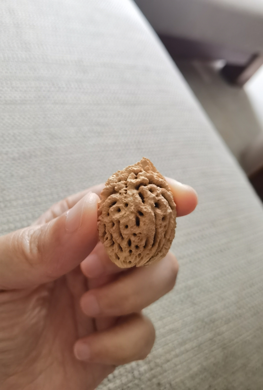 吃了一个桃子,用我们本地话说是"离核"的,吃完没想到这么干净,漂亮,一