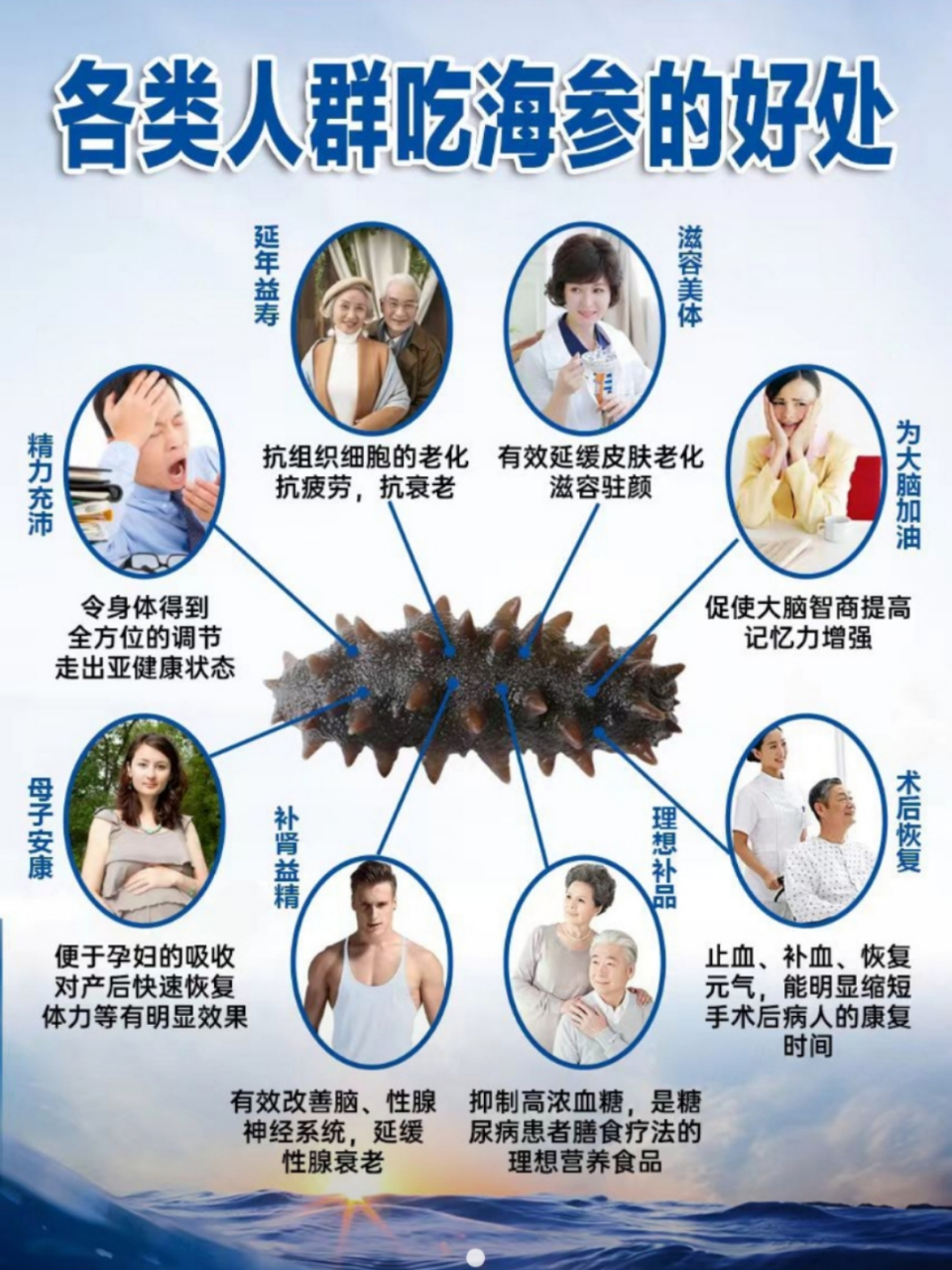 海参适合人群.