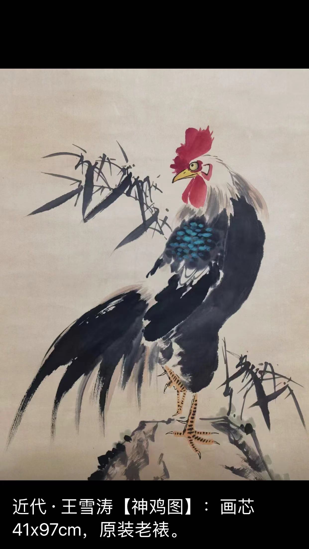 近代   王雪涛  [神鸡图 ]  画芯41x97cm.  原装老裱.等结缘.