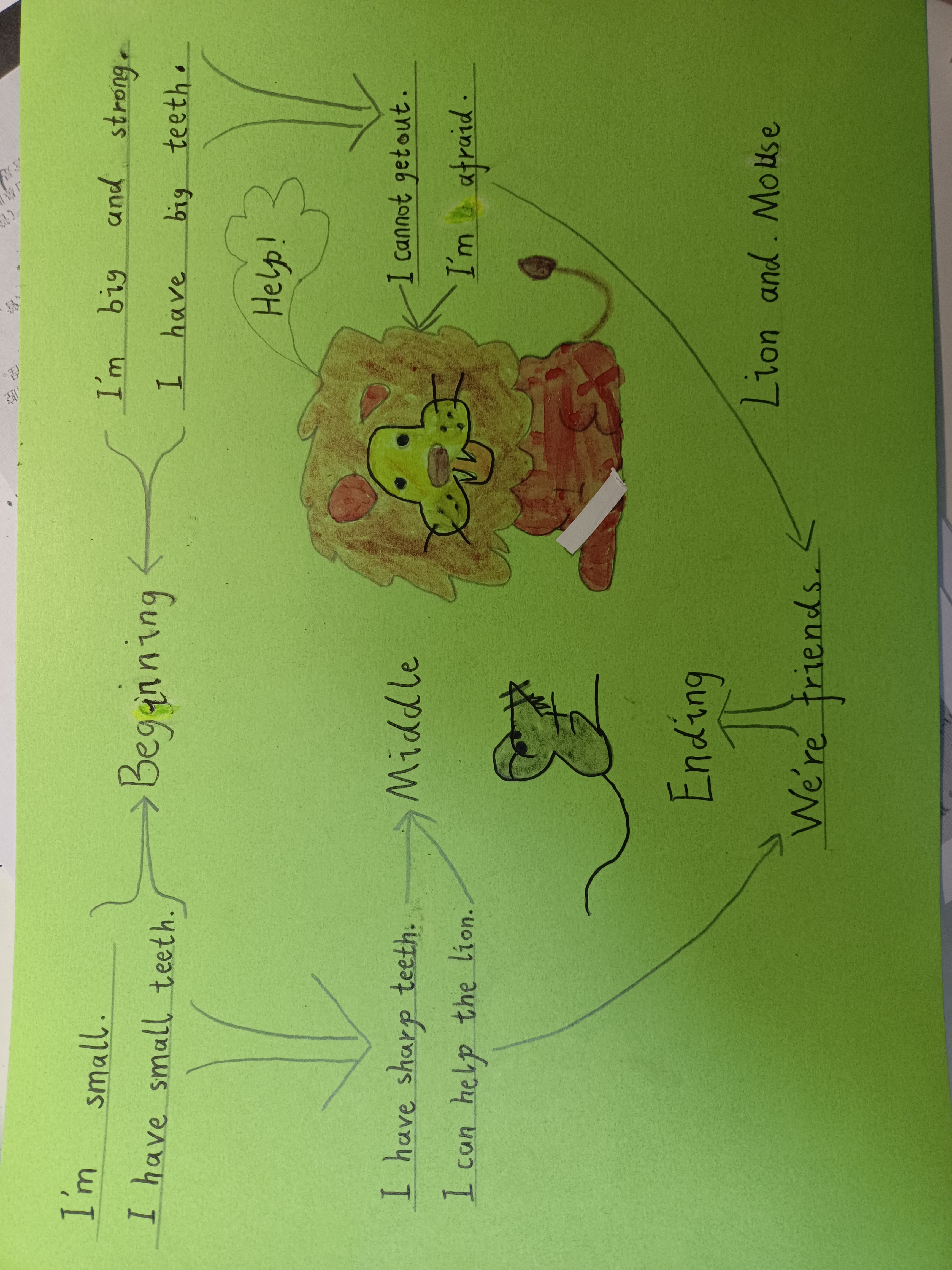 lion and mouse思维导图