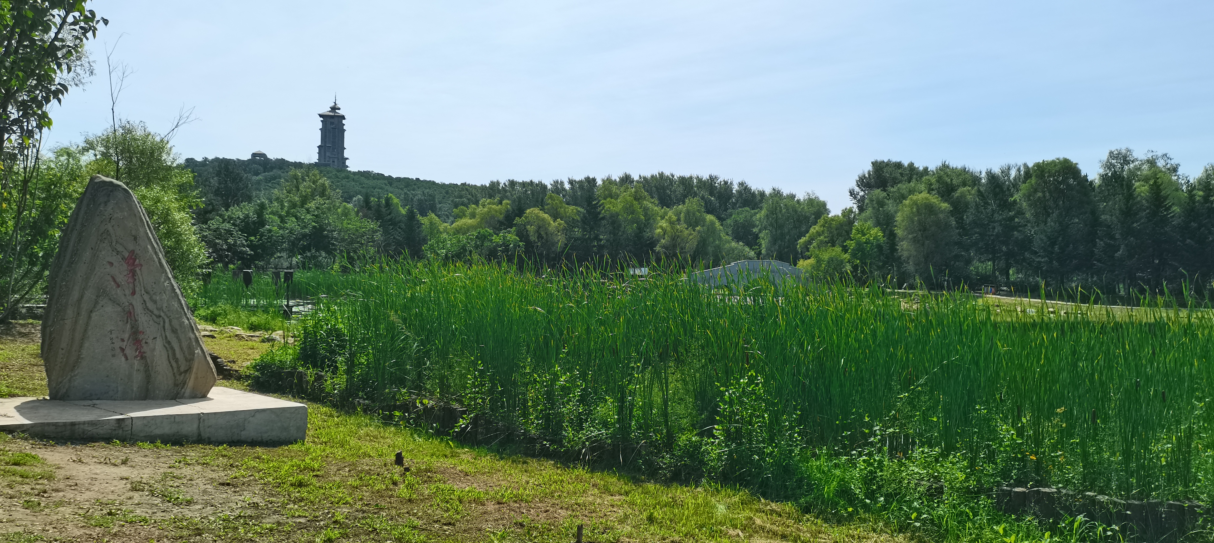 游长春净月潭十四行诗  已是立秋的季节 净月潭景区游人依然很多 湖上