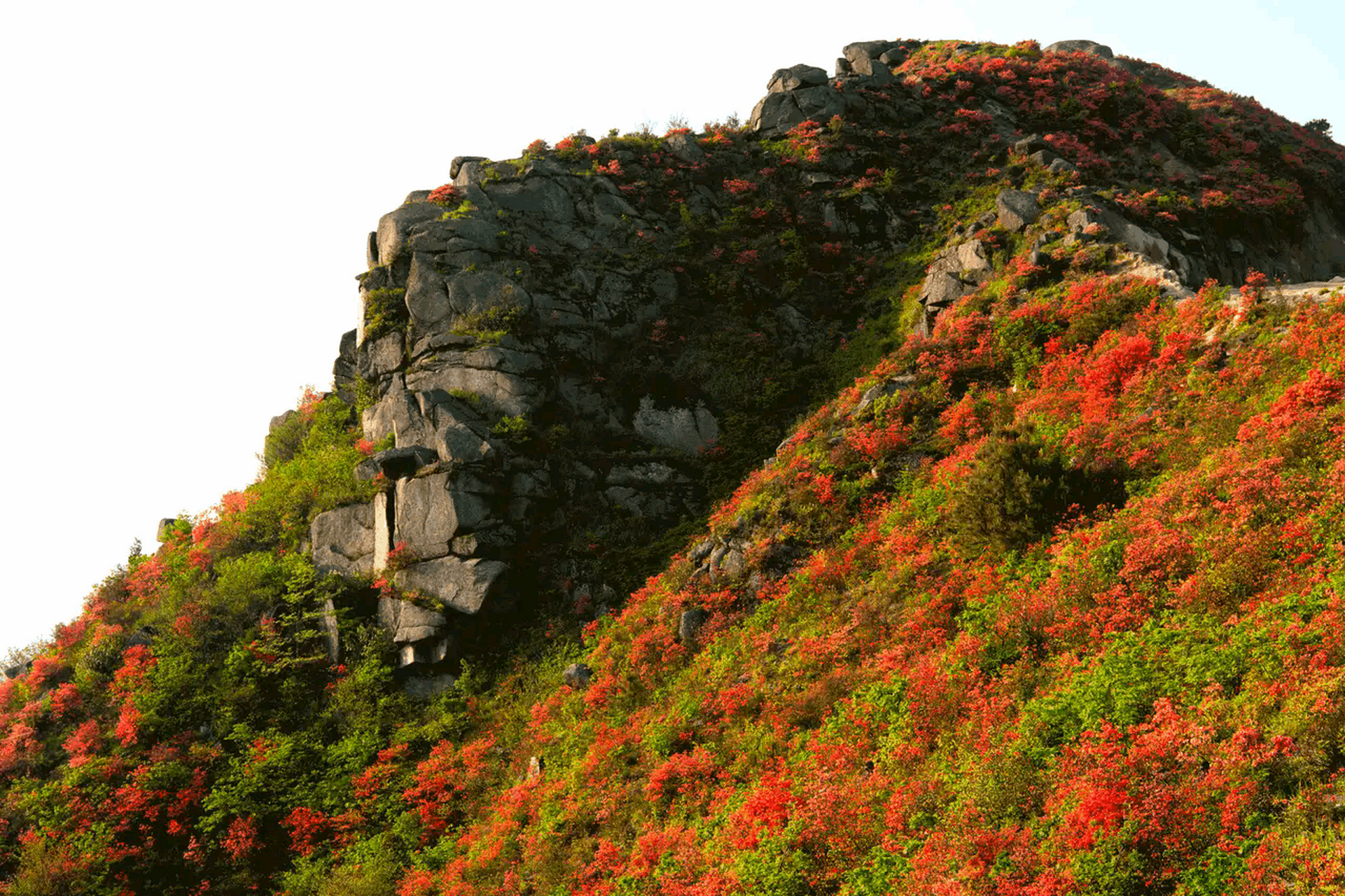 桂阳扶苍山图片