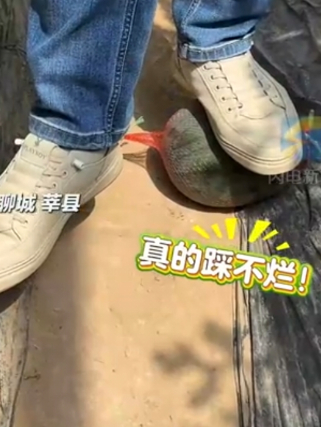 西瓜硬一倍多但切开后瓜瓤又脆又甜咬下去踩到西瓜皮摔倒的图片大全