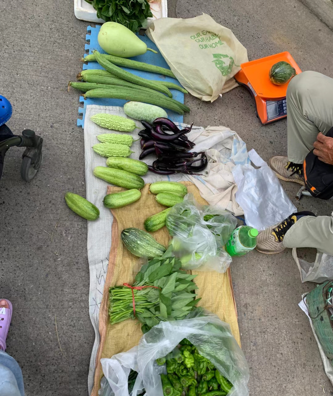 婆婆说路边摊的菜都是菜农新鲜的,比超市的好.