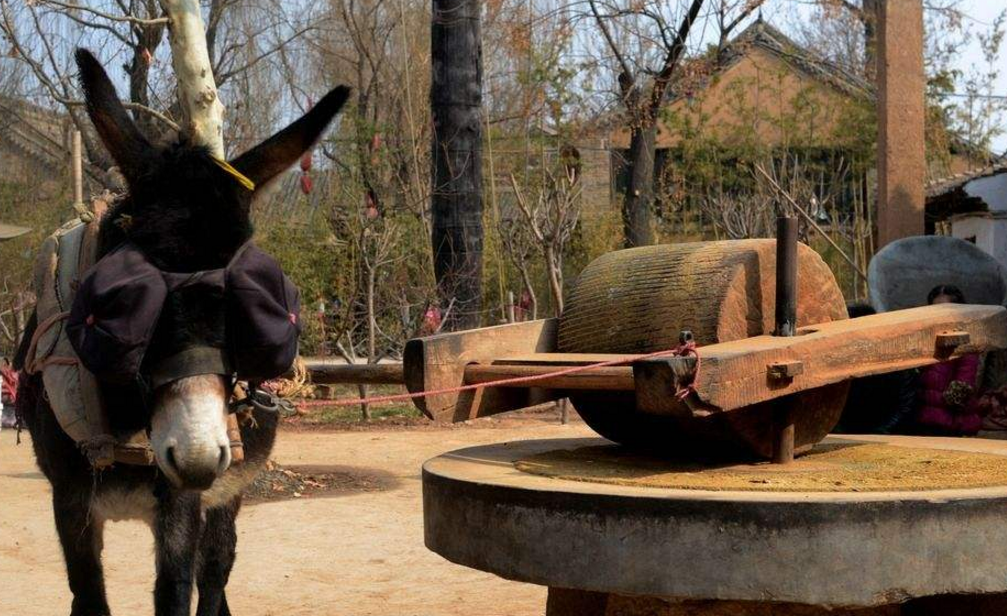 九月动态激励计划#