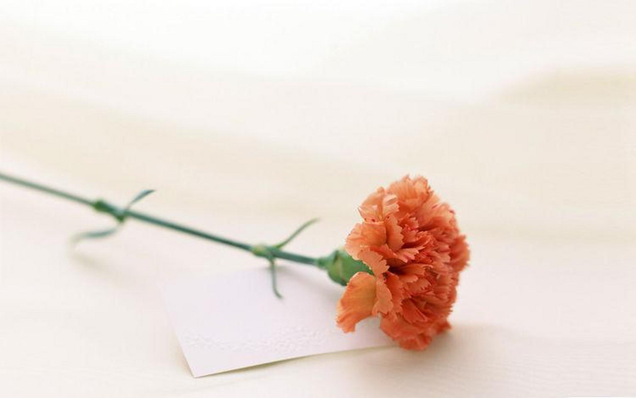 生肖羊之人生来属相五行土汇聚,特别是91,03年生的属羊人进入6月下旬